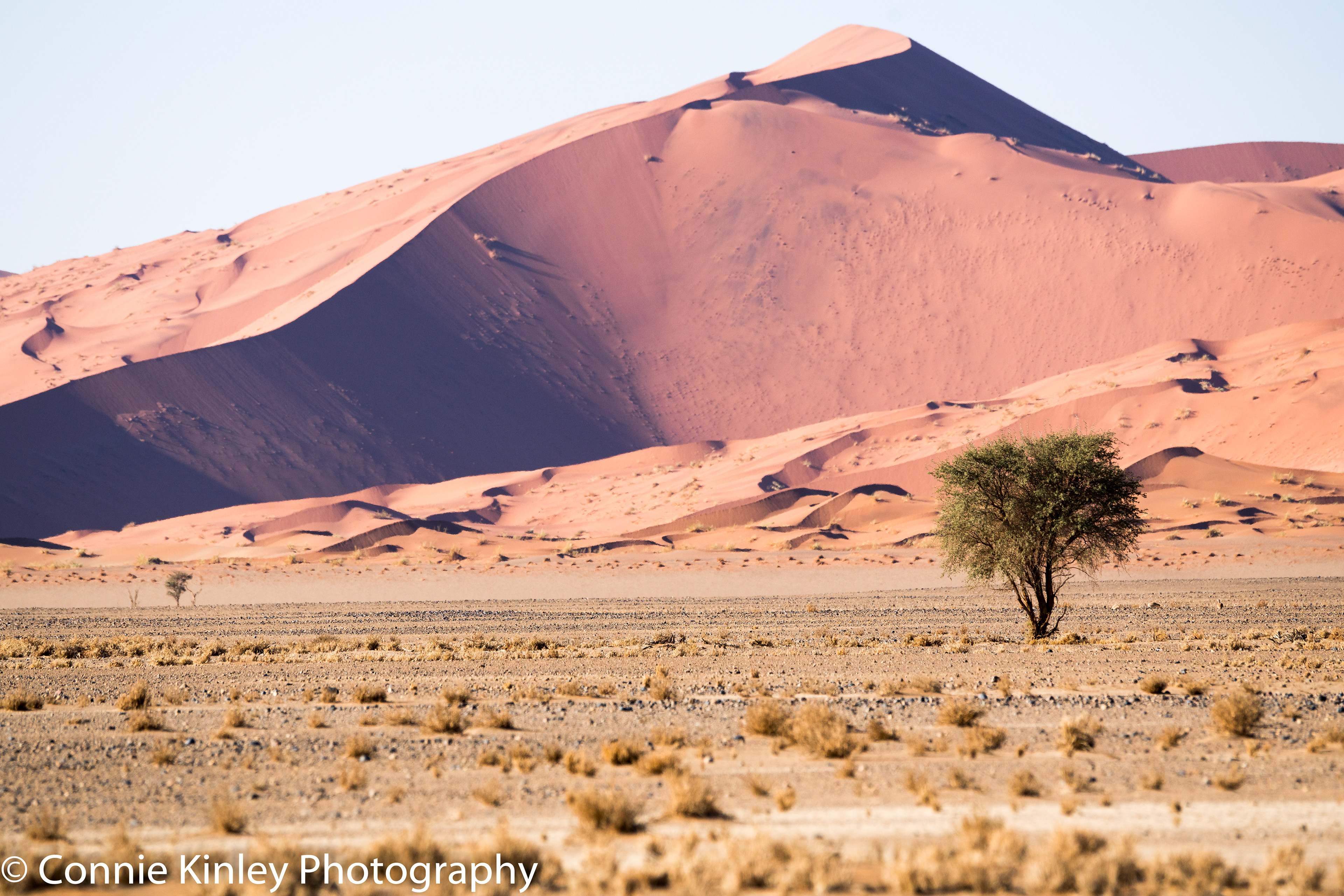 Dunes, Sossusvlei