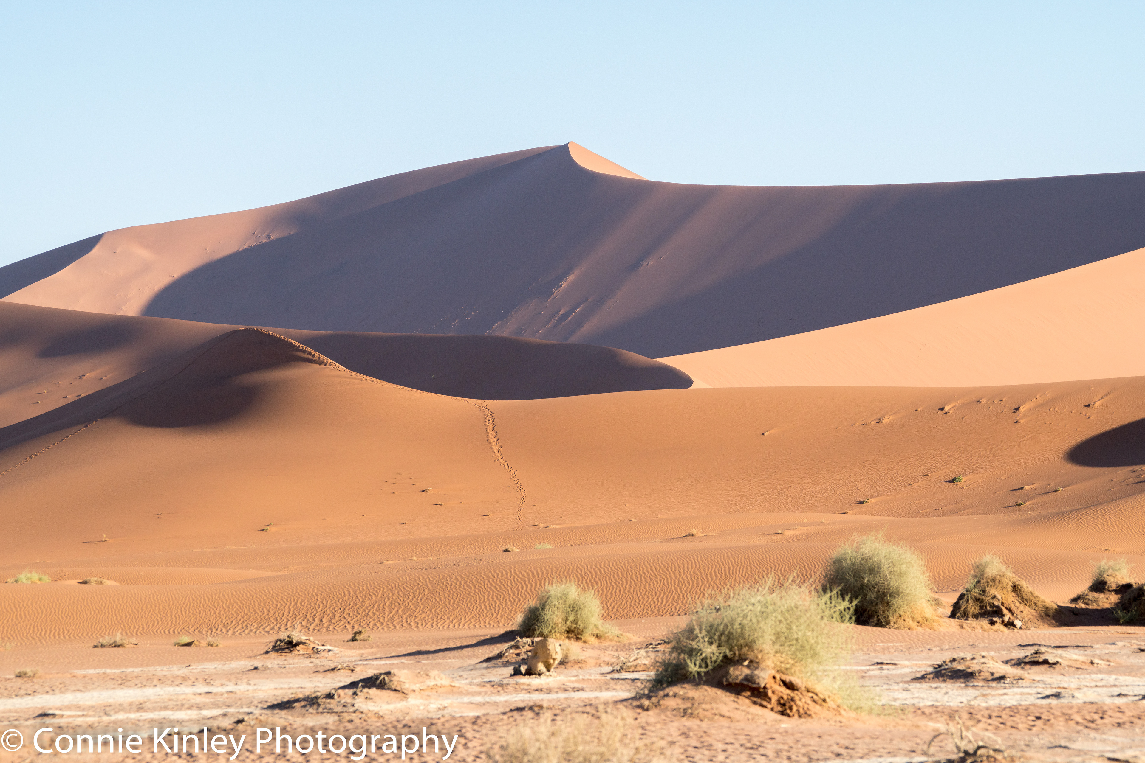 Dunes, Sossusvlei