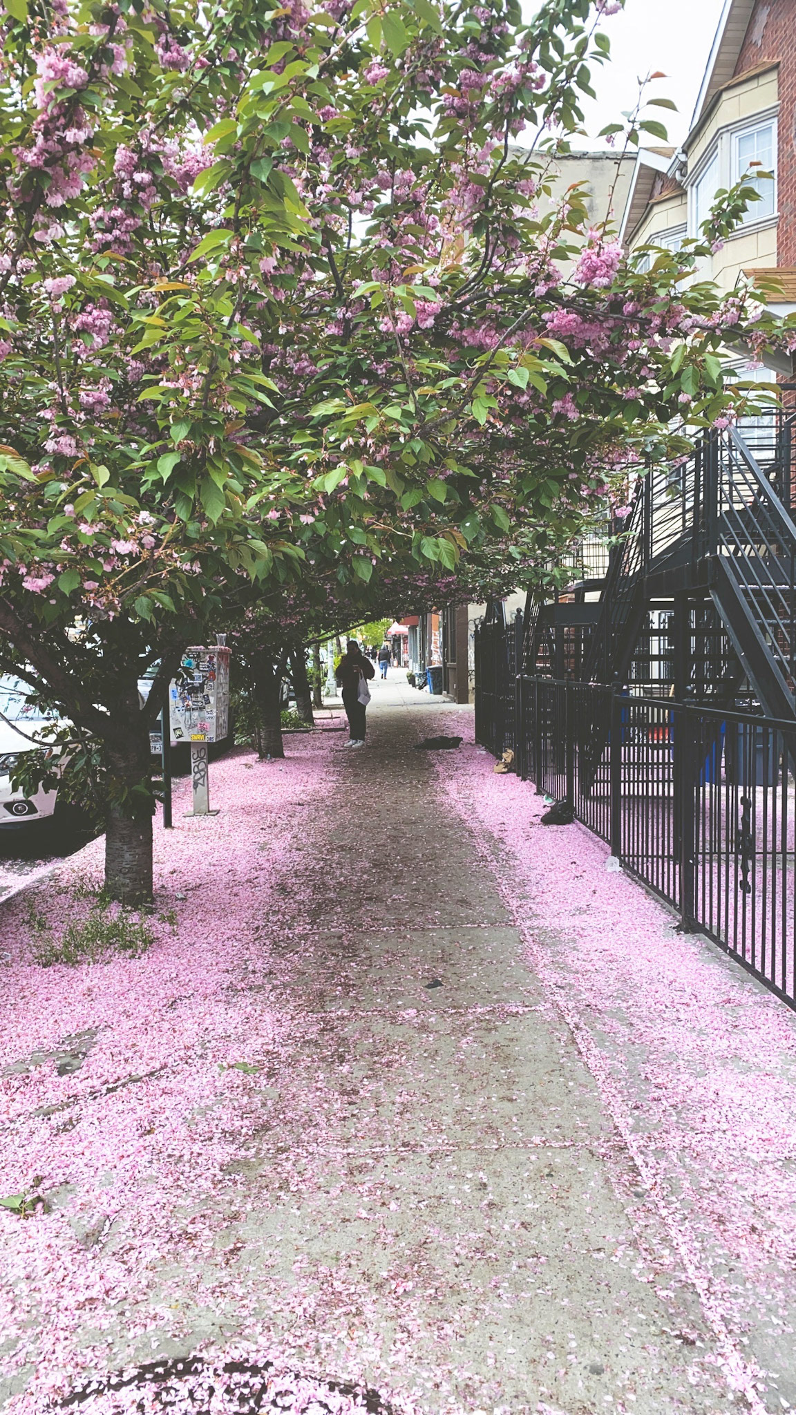5/8/22