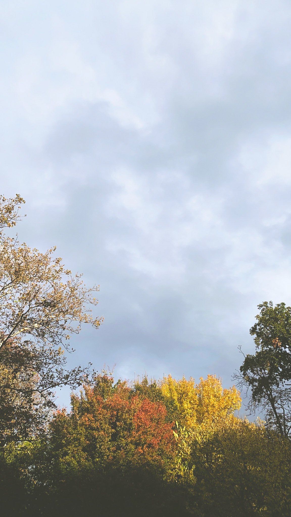 10/26/21