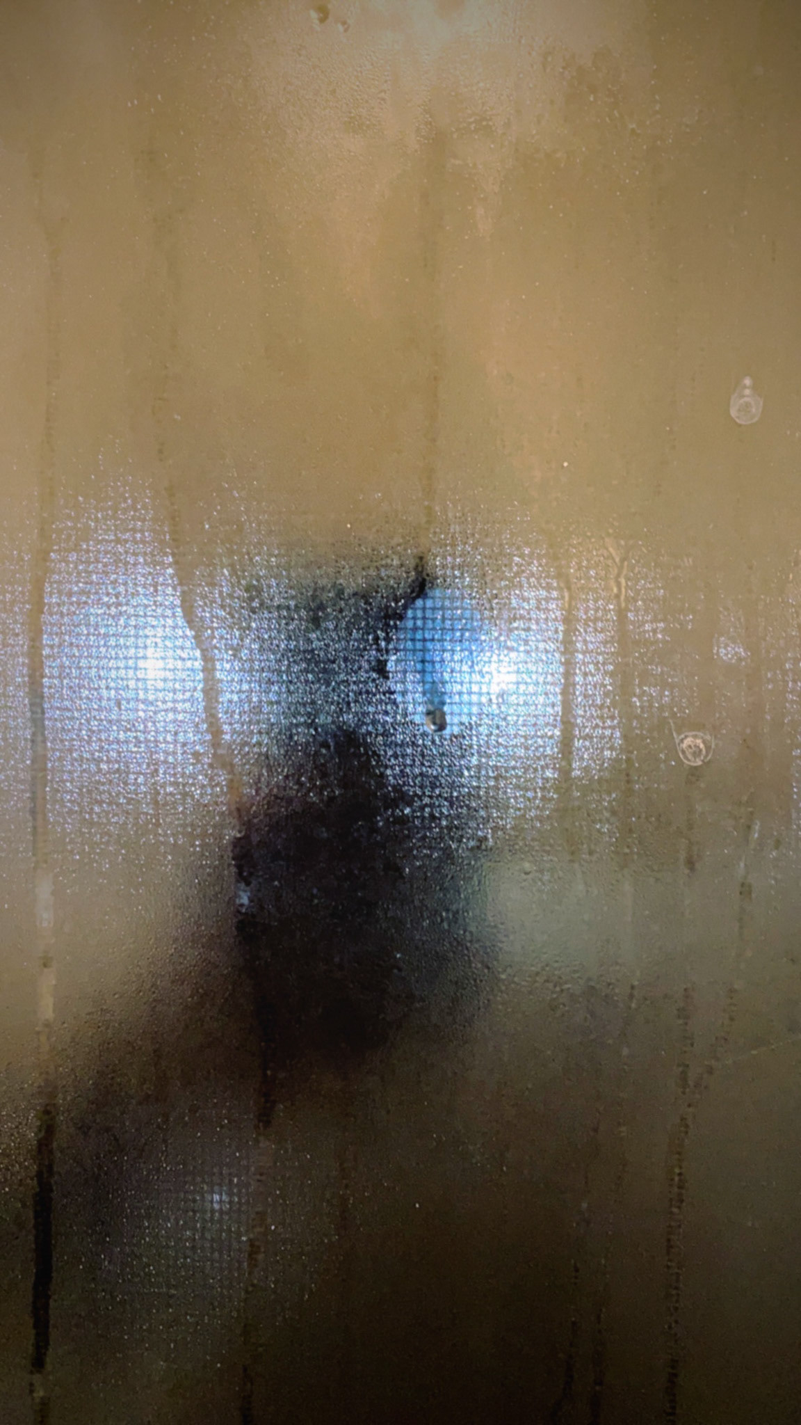 3/19/21