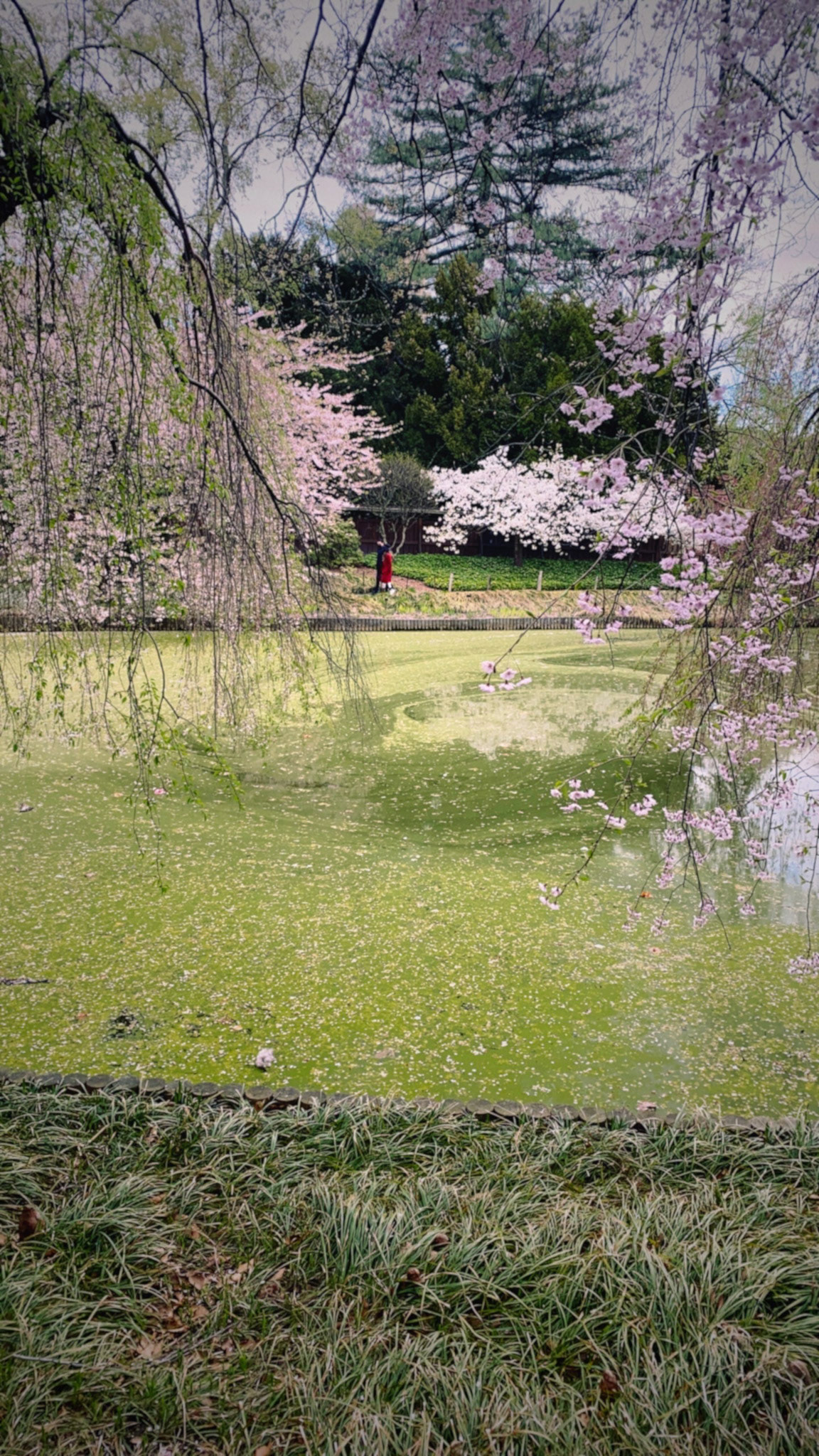 4/18/21