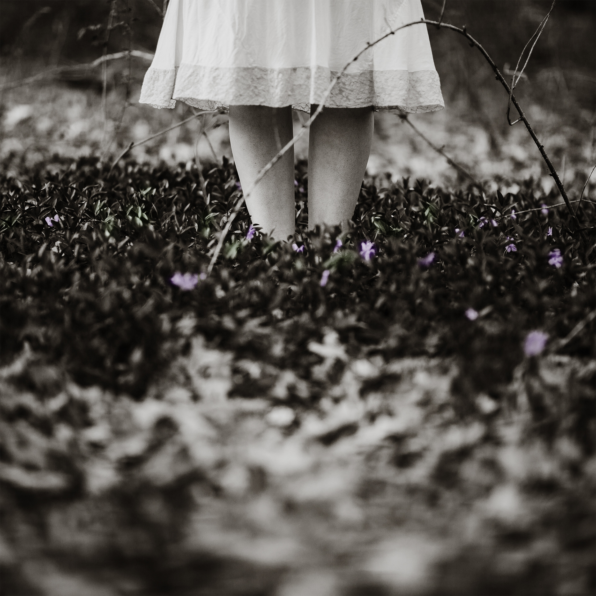 Reborn in Her Image