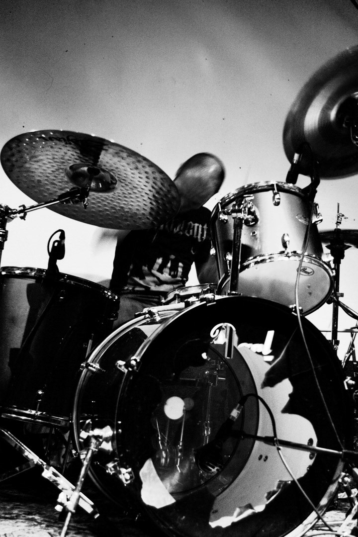 Black Haven at Scheld'apen