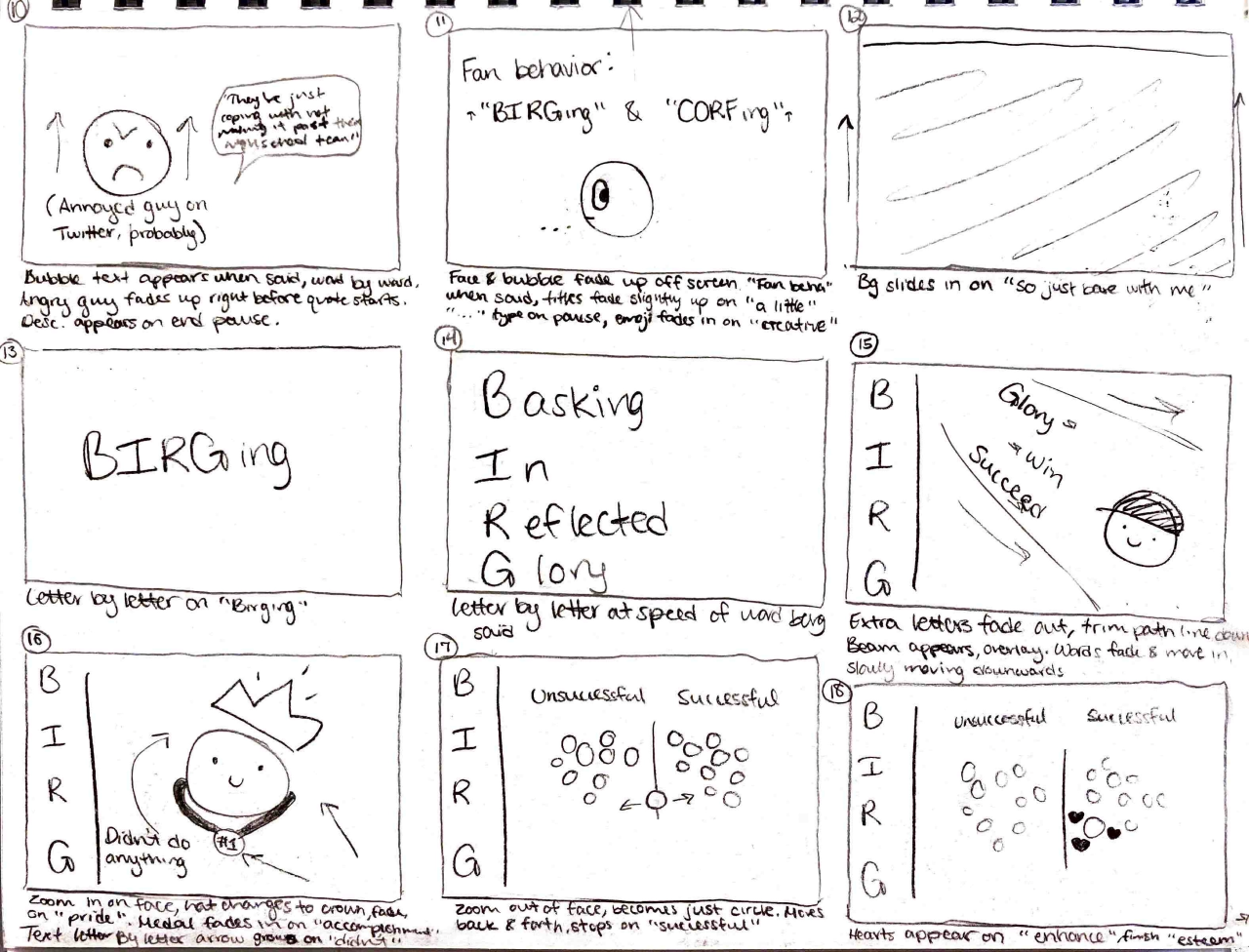BIRGing video storyboard 2