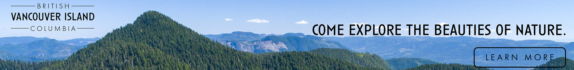 Web banner