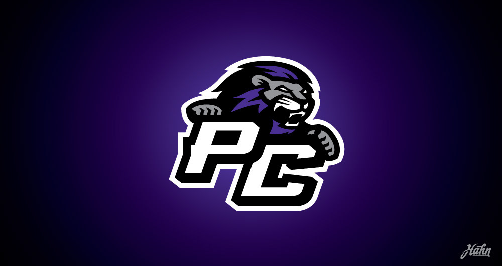 Paine College Set For Black College World Series - Paine College Athletics