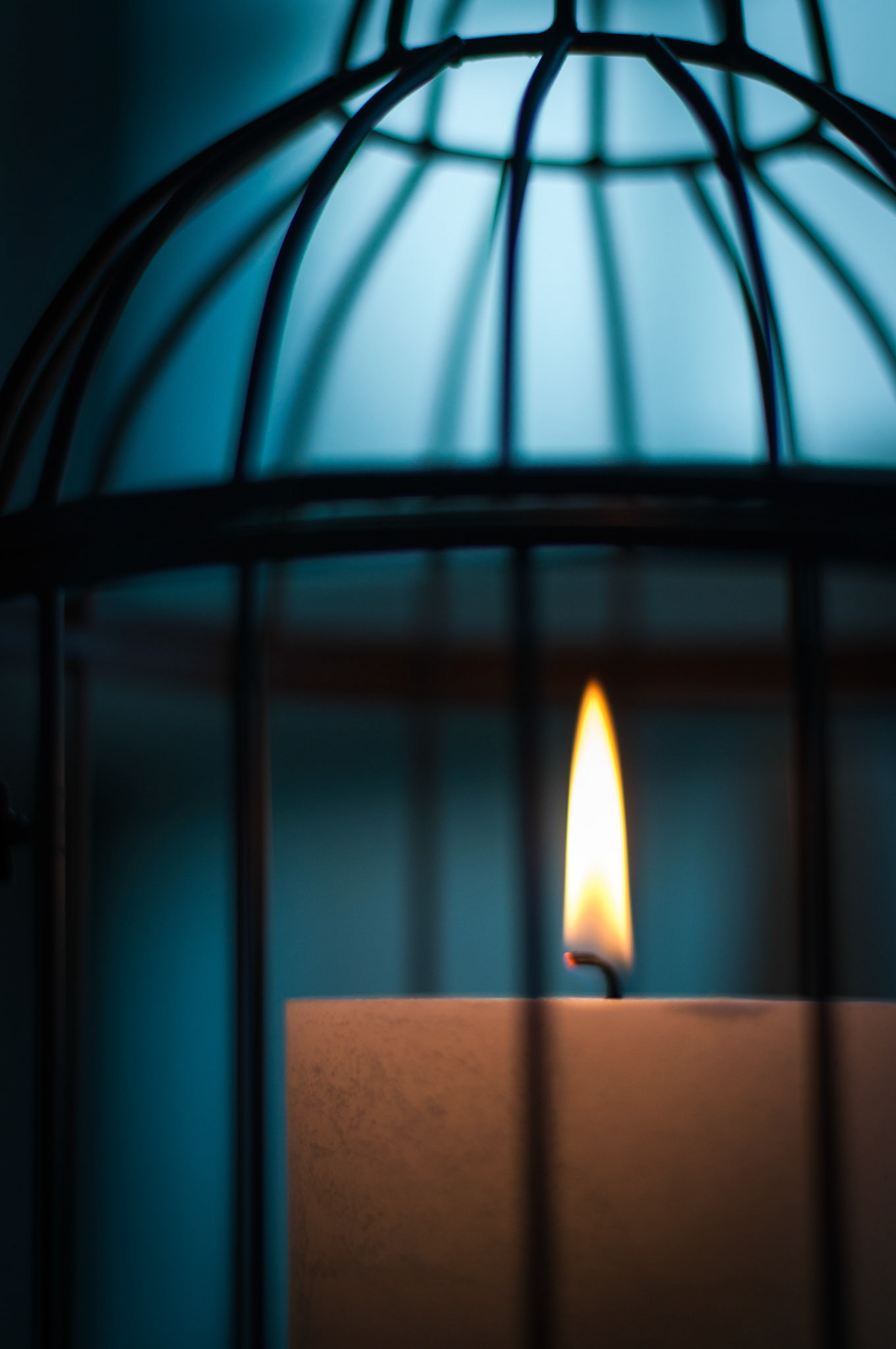 We dont have a bird, we have an unruly candle that needs to be kept in the cage at all times.