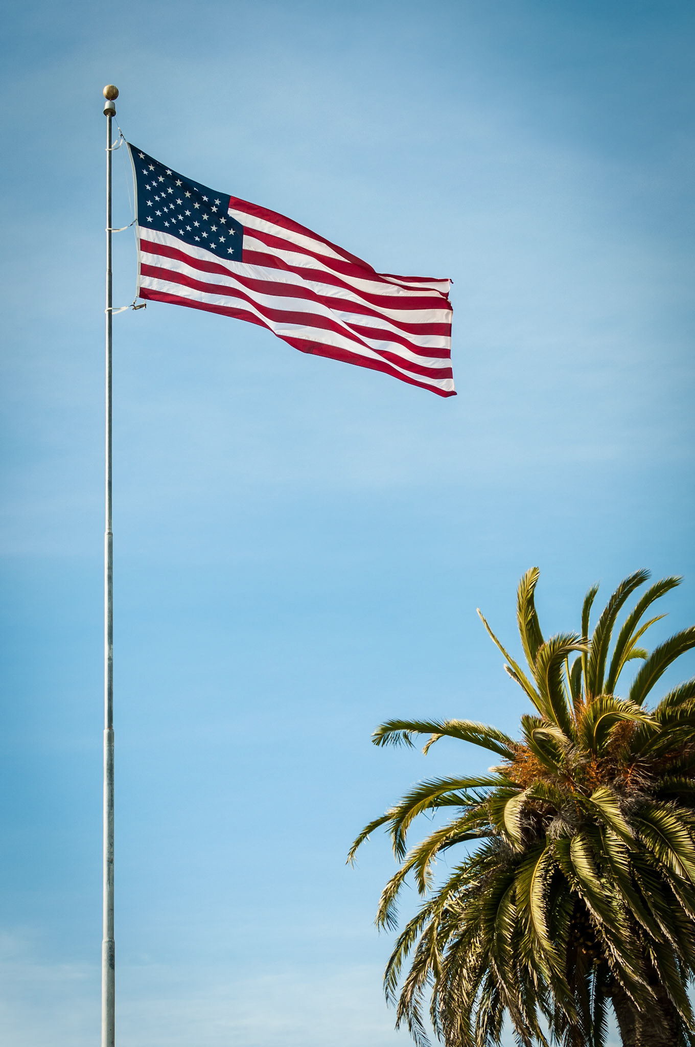 The Stars And Stripes