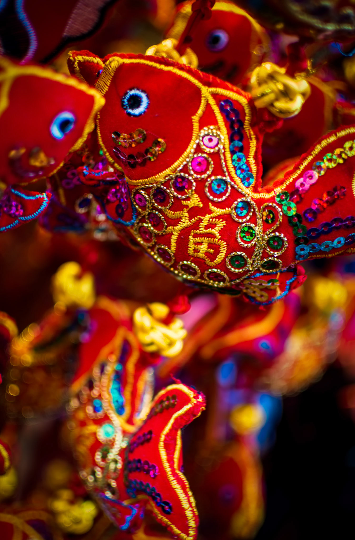 Hanging Fish