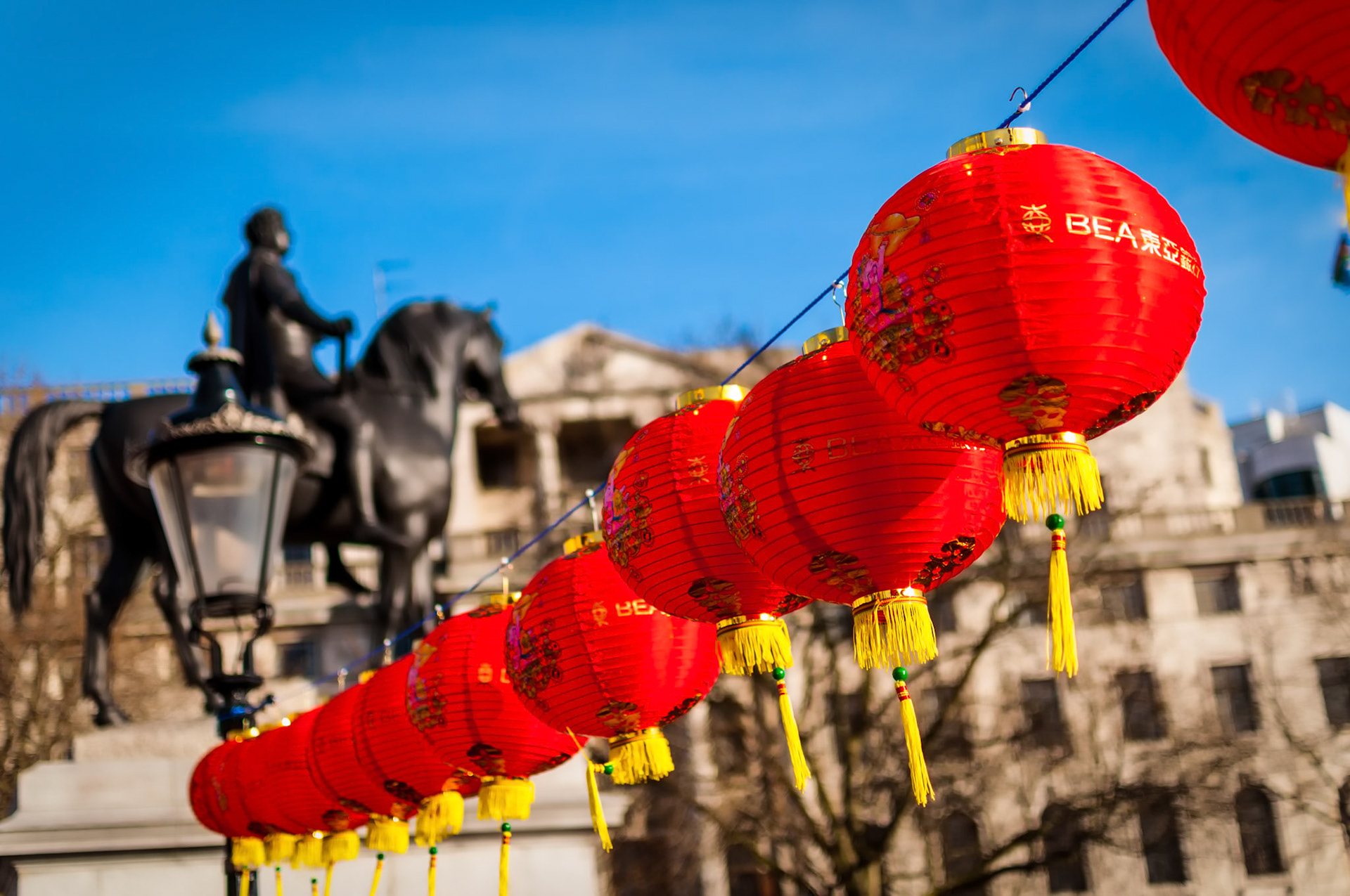 Lanterns In The Square