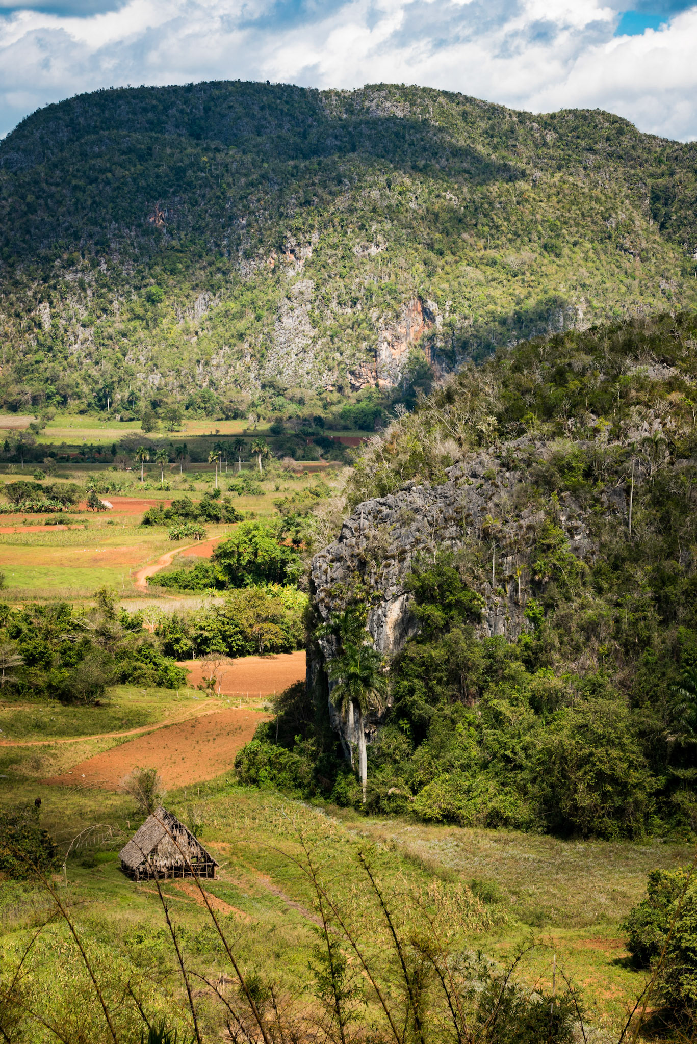 Drying House In The Valley