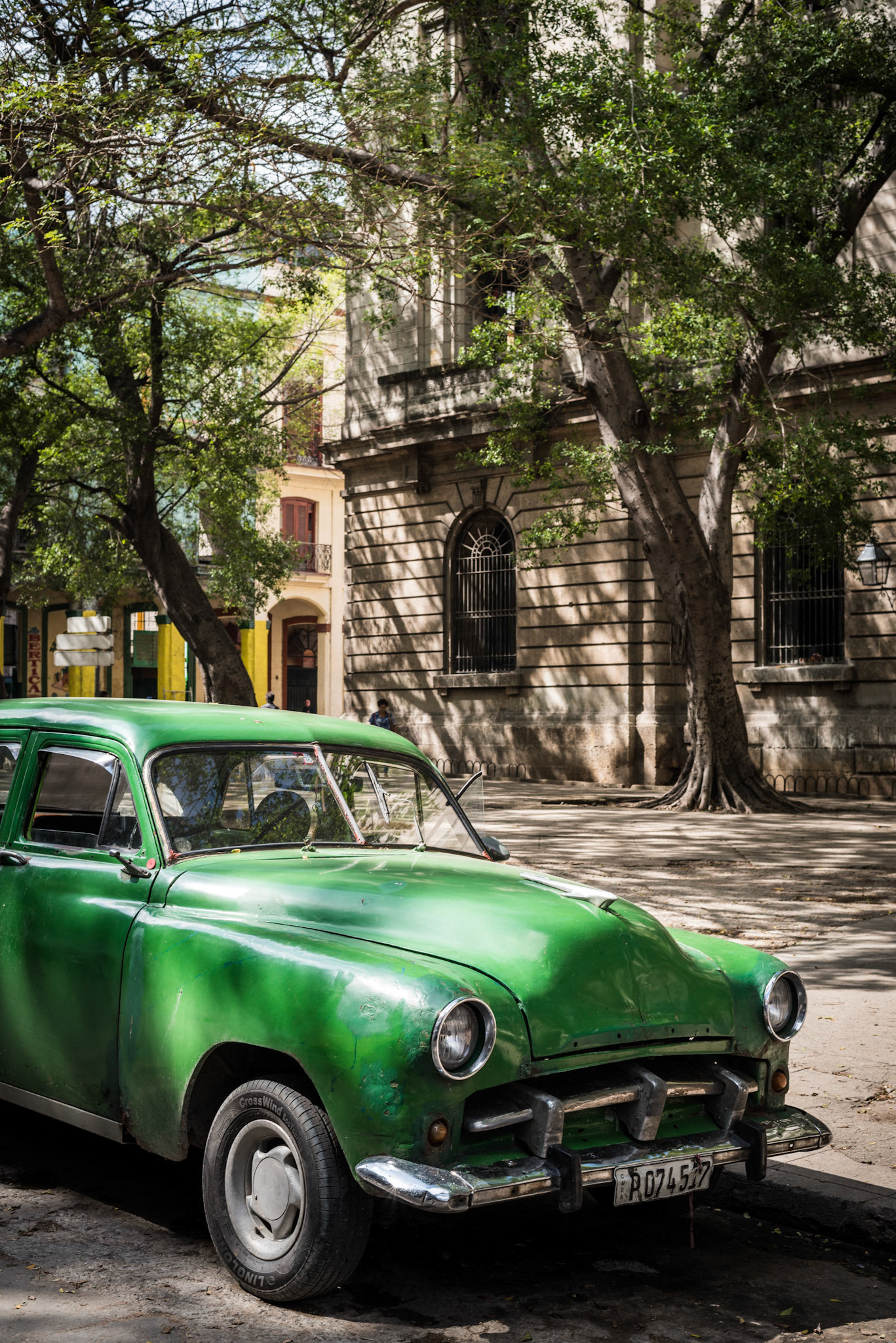 Parked Under the Tree