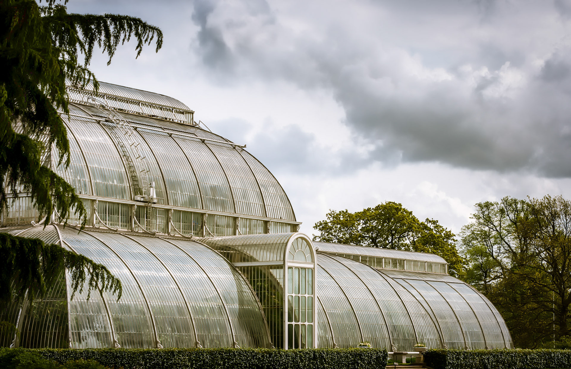 Looking Out From The Palm House