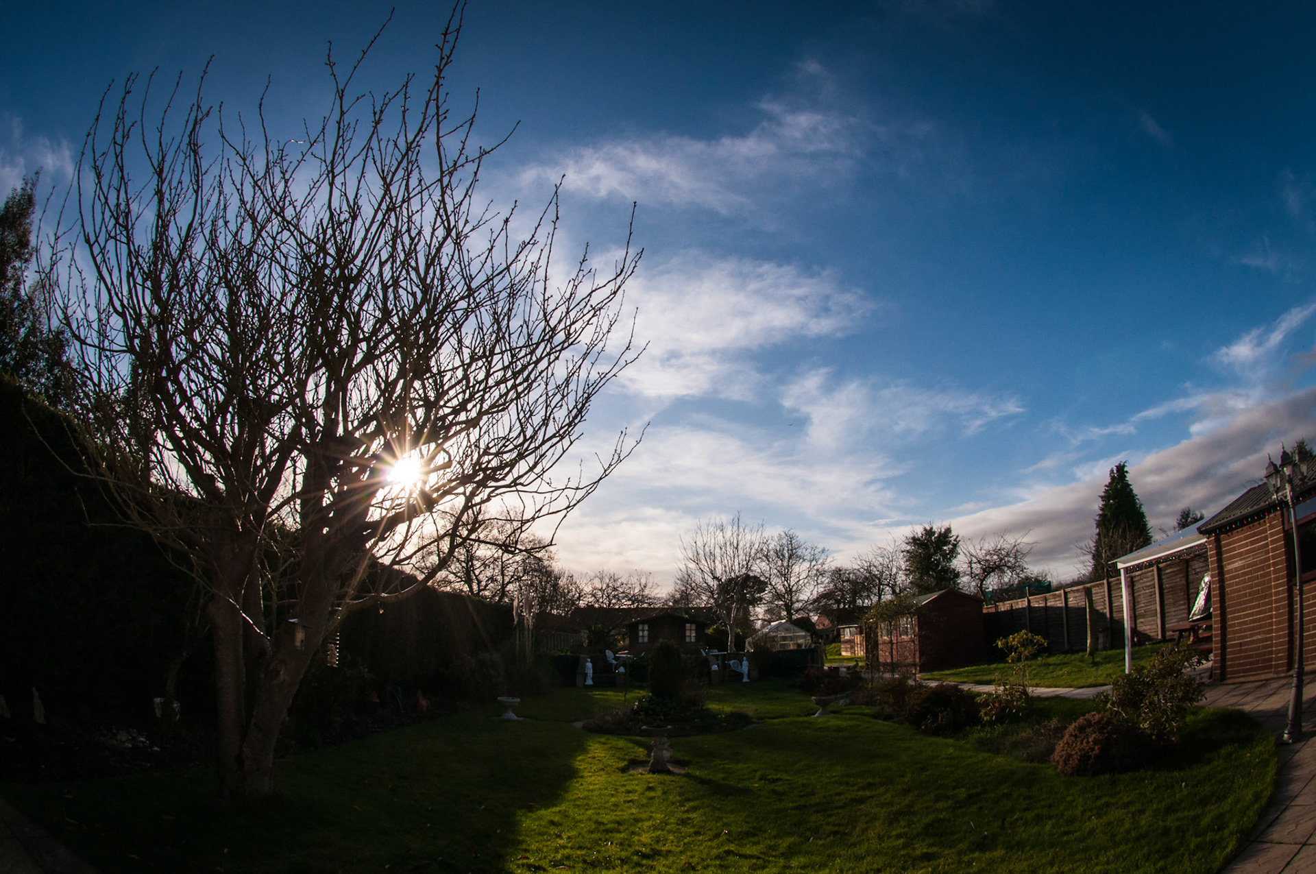 This garden is a great place. It used to be where a greyhound we had completed laps of the whole place. Now it's great for a beer in the summer with family and friends.