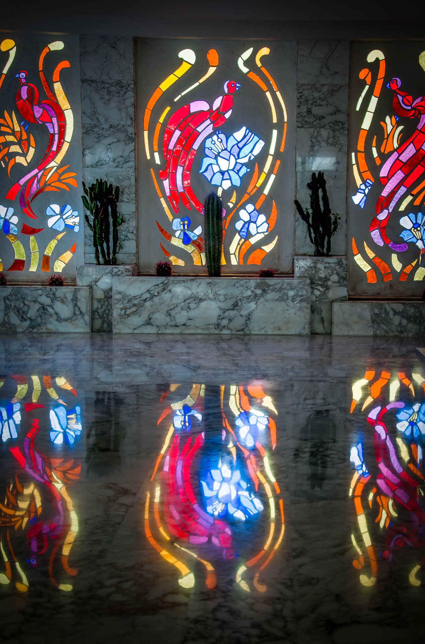 Basking Under The Stain