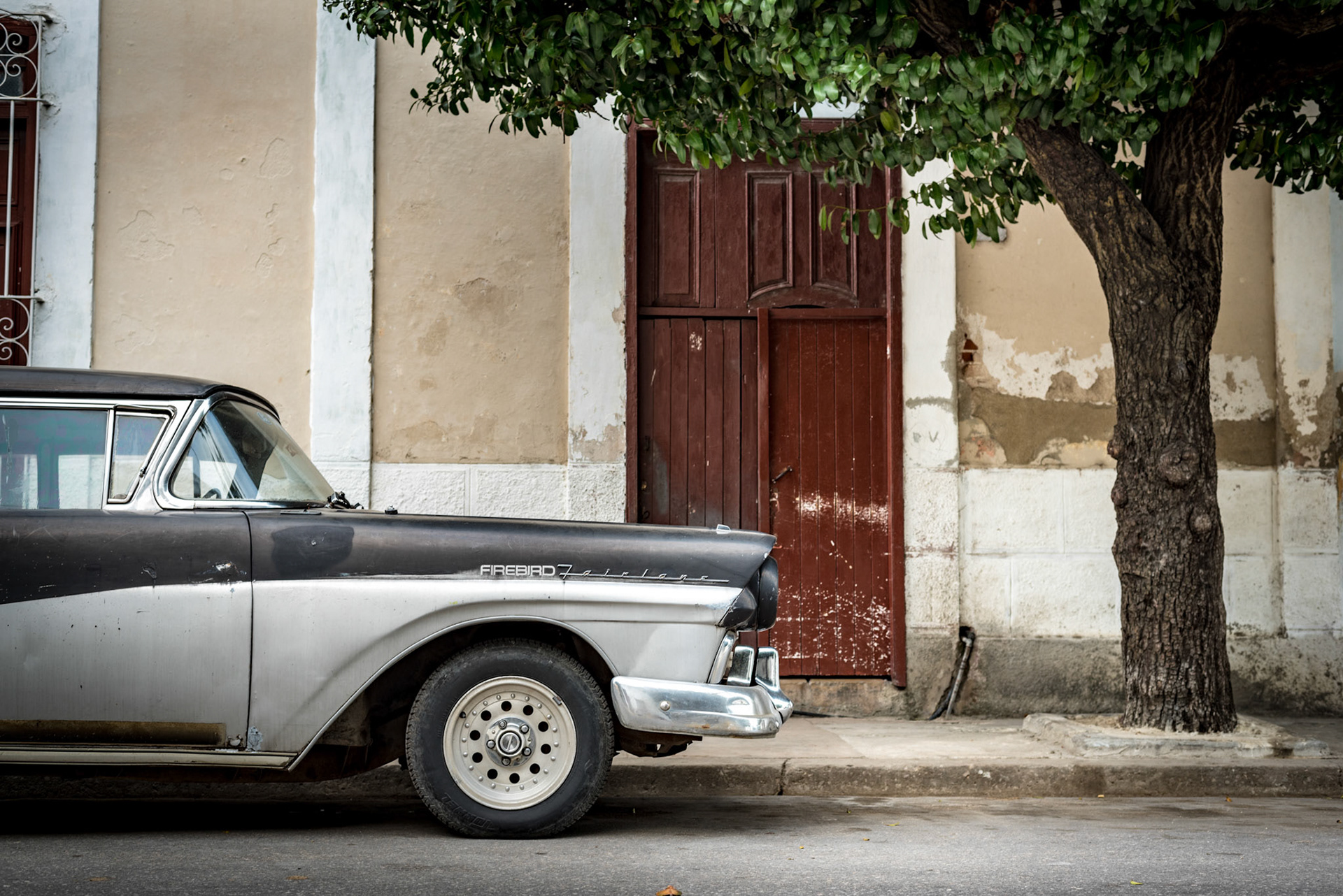 Parked Under The Tree