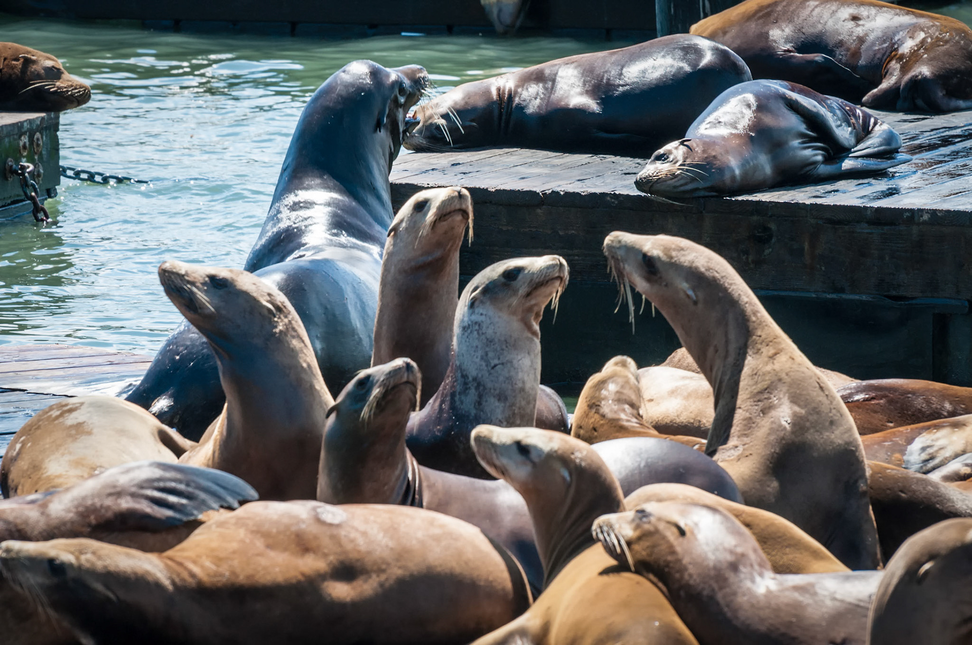 Have you heard about Audrey?!