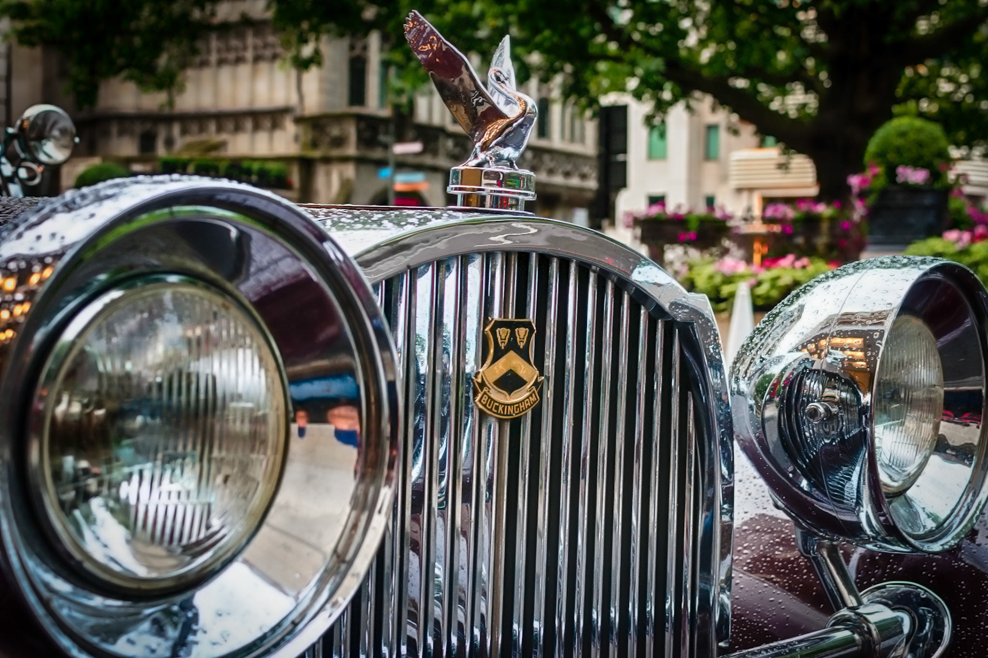 Buckingham At The Dorchester