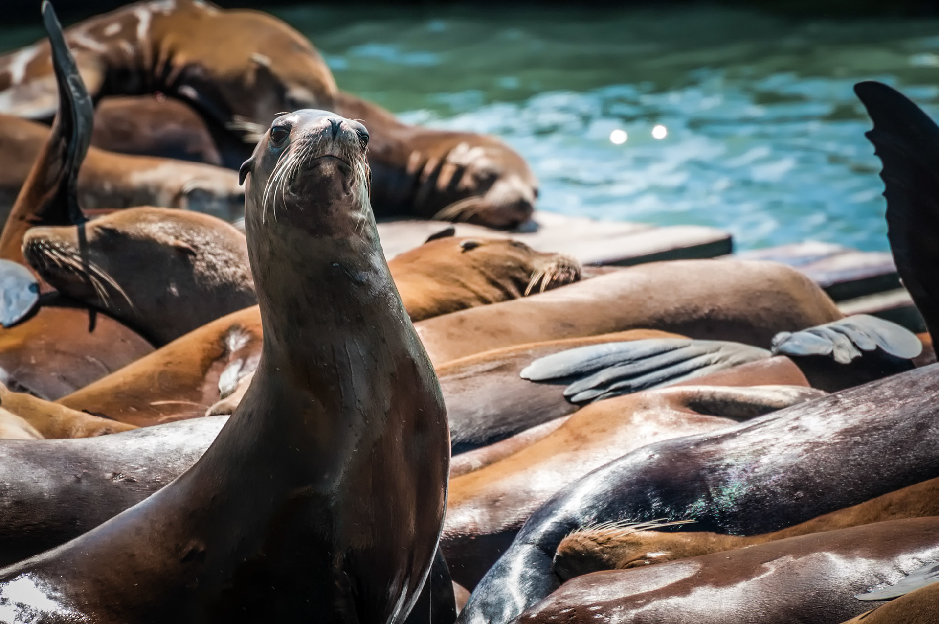 What you looking at?