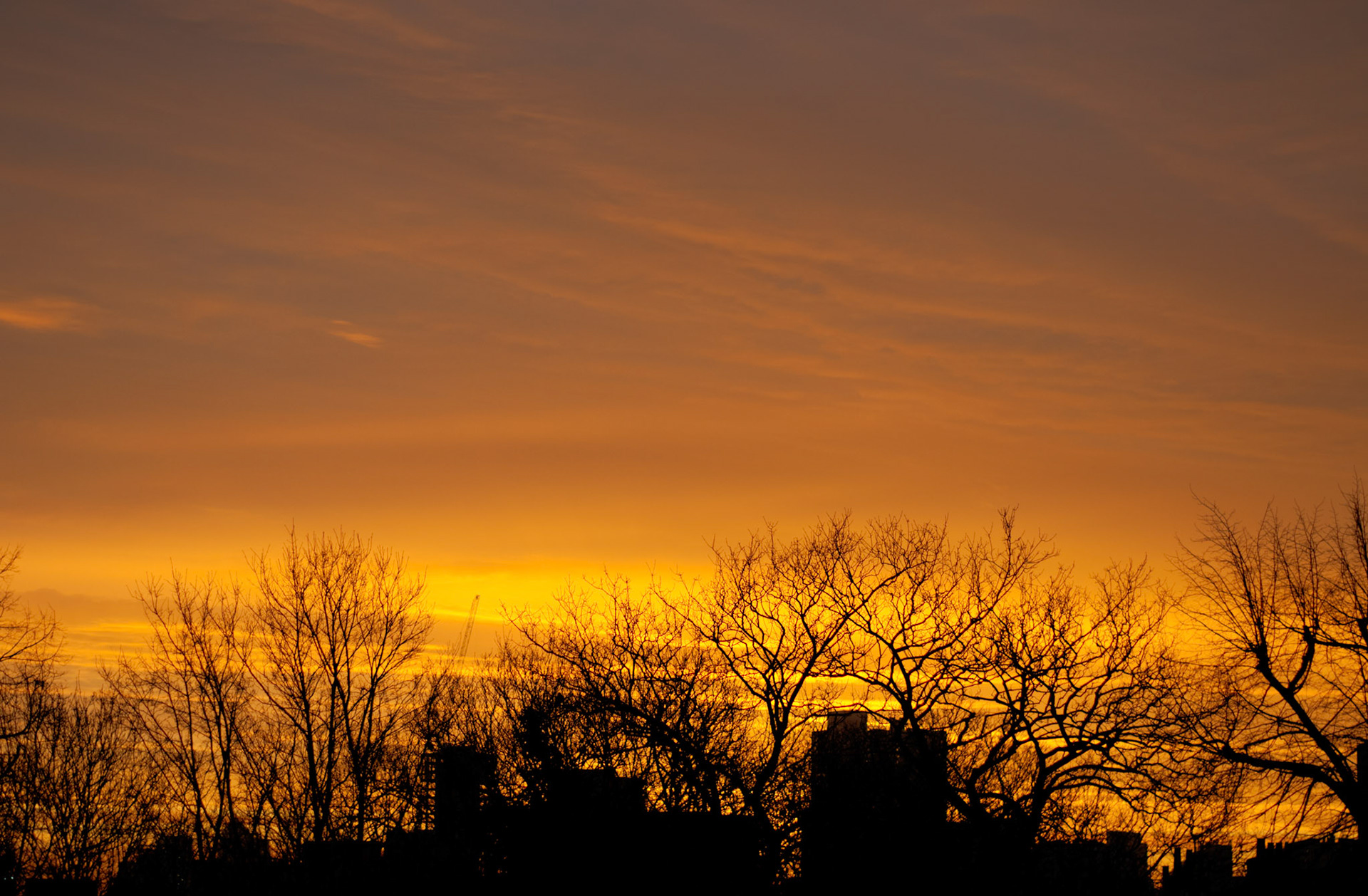 With such a glorious sunrise, I had to put this as my photo of the day!