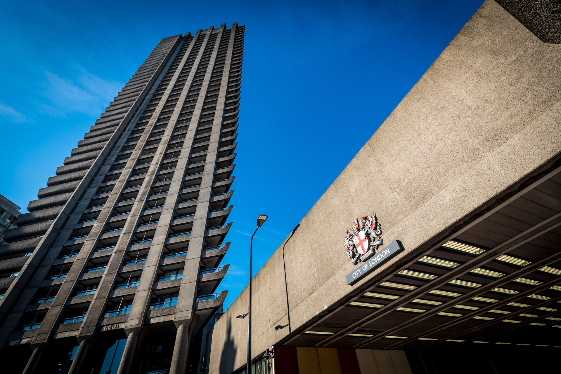 Welcome to the concrete jungle