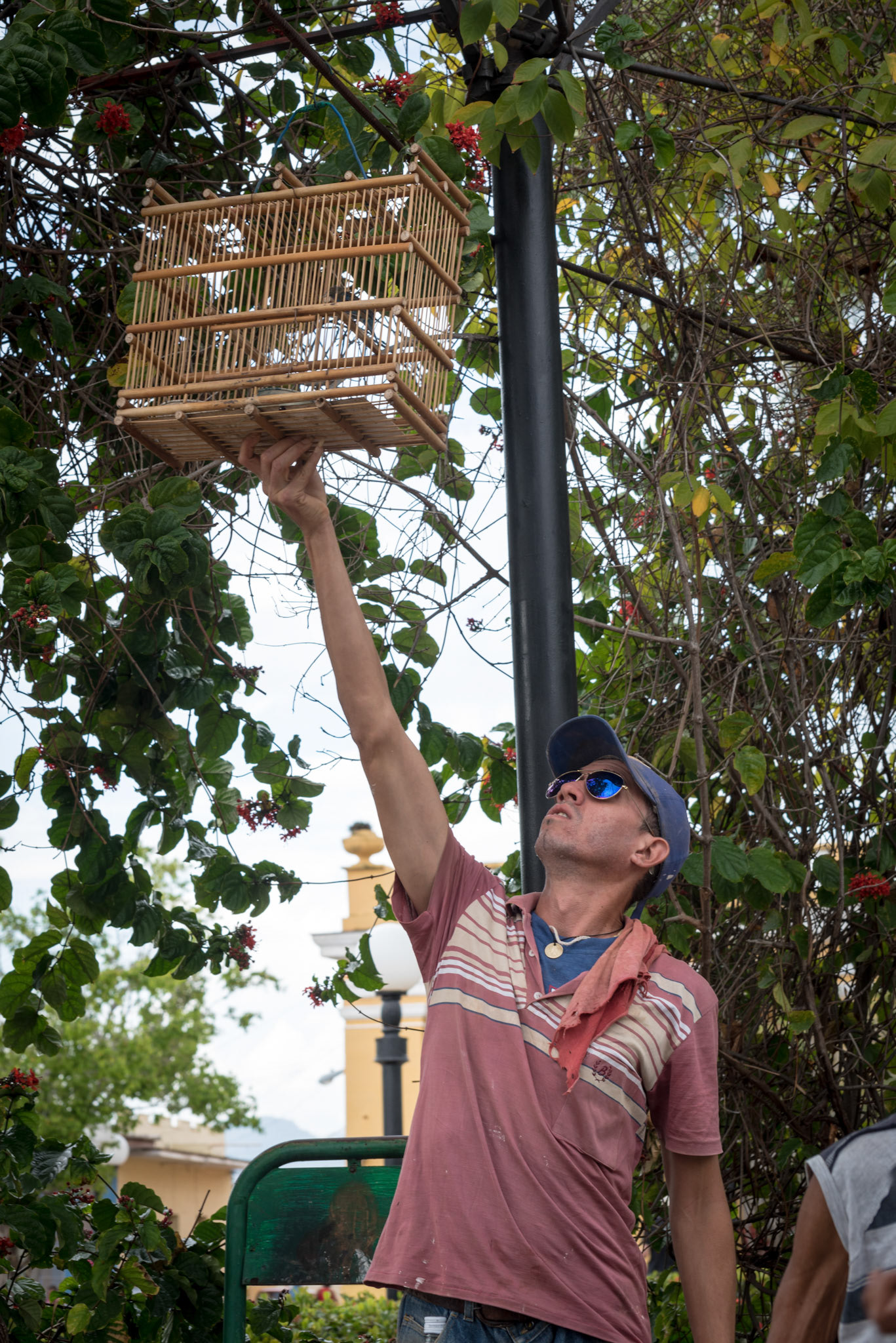Taking The Bird For A Walk