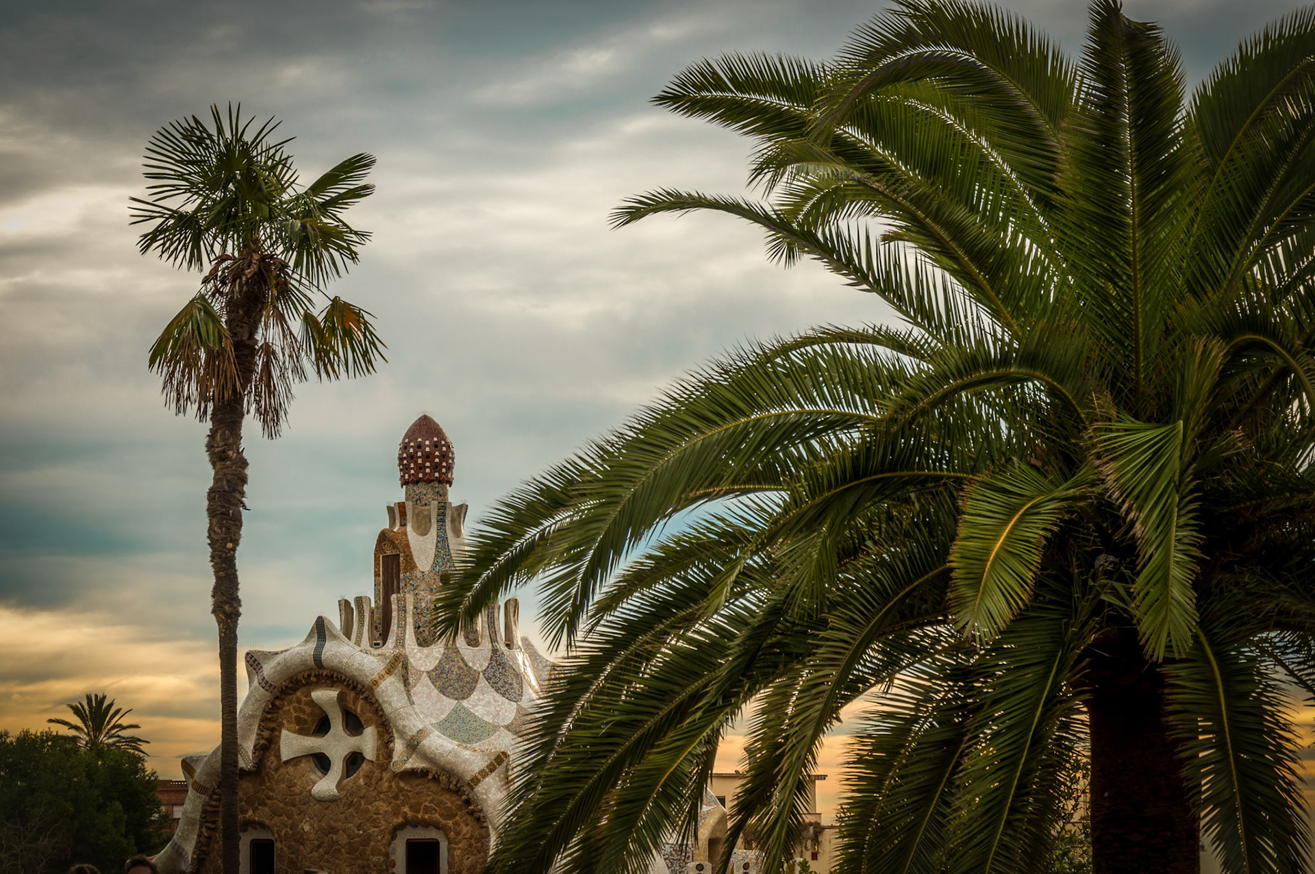 Palms Over Gaudi's House