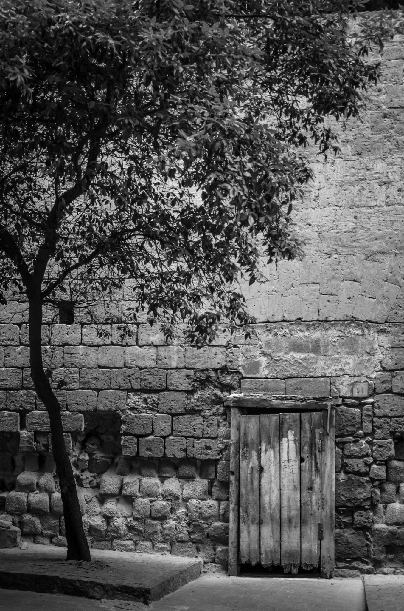 While walking to the ferry, we found this tiny door that looked like it couldn't go anywhere.