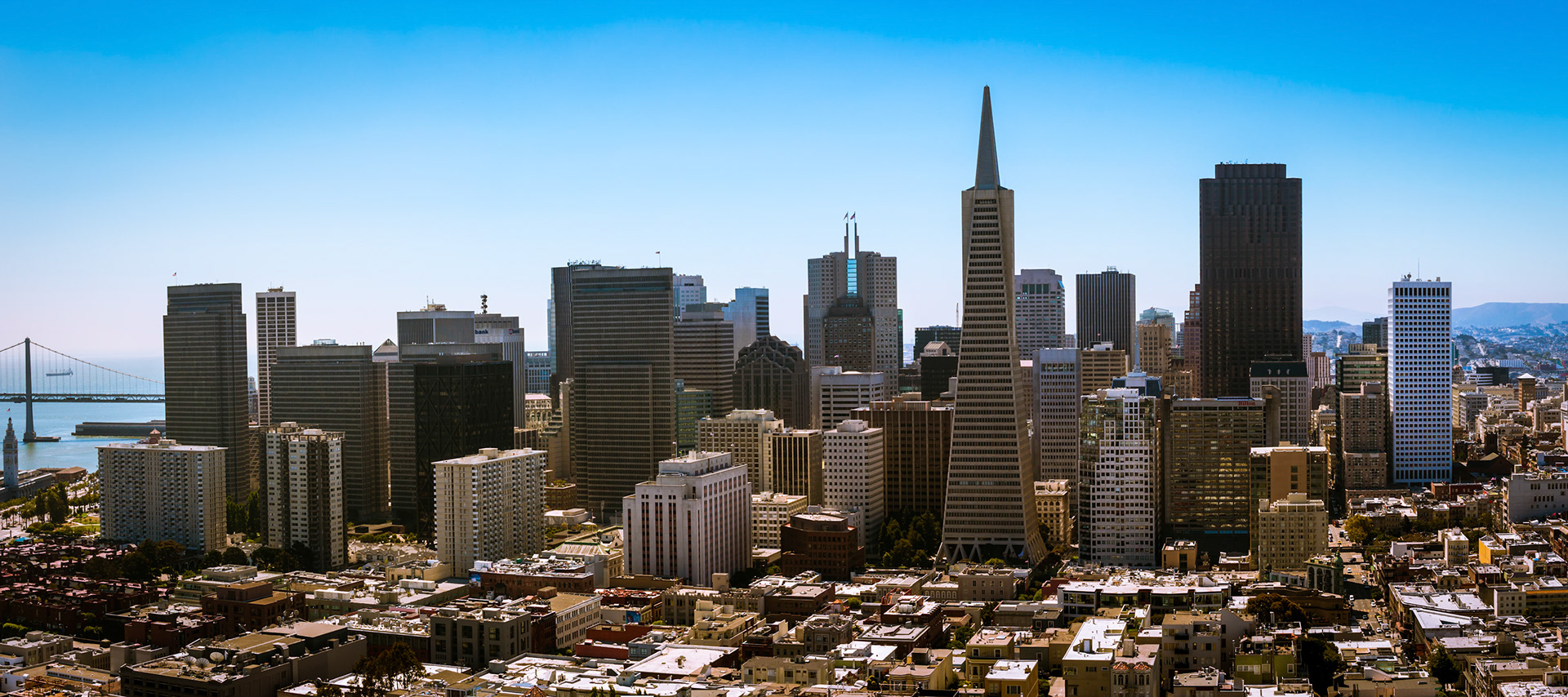 The Financial District