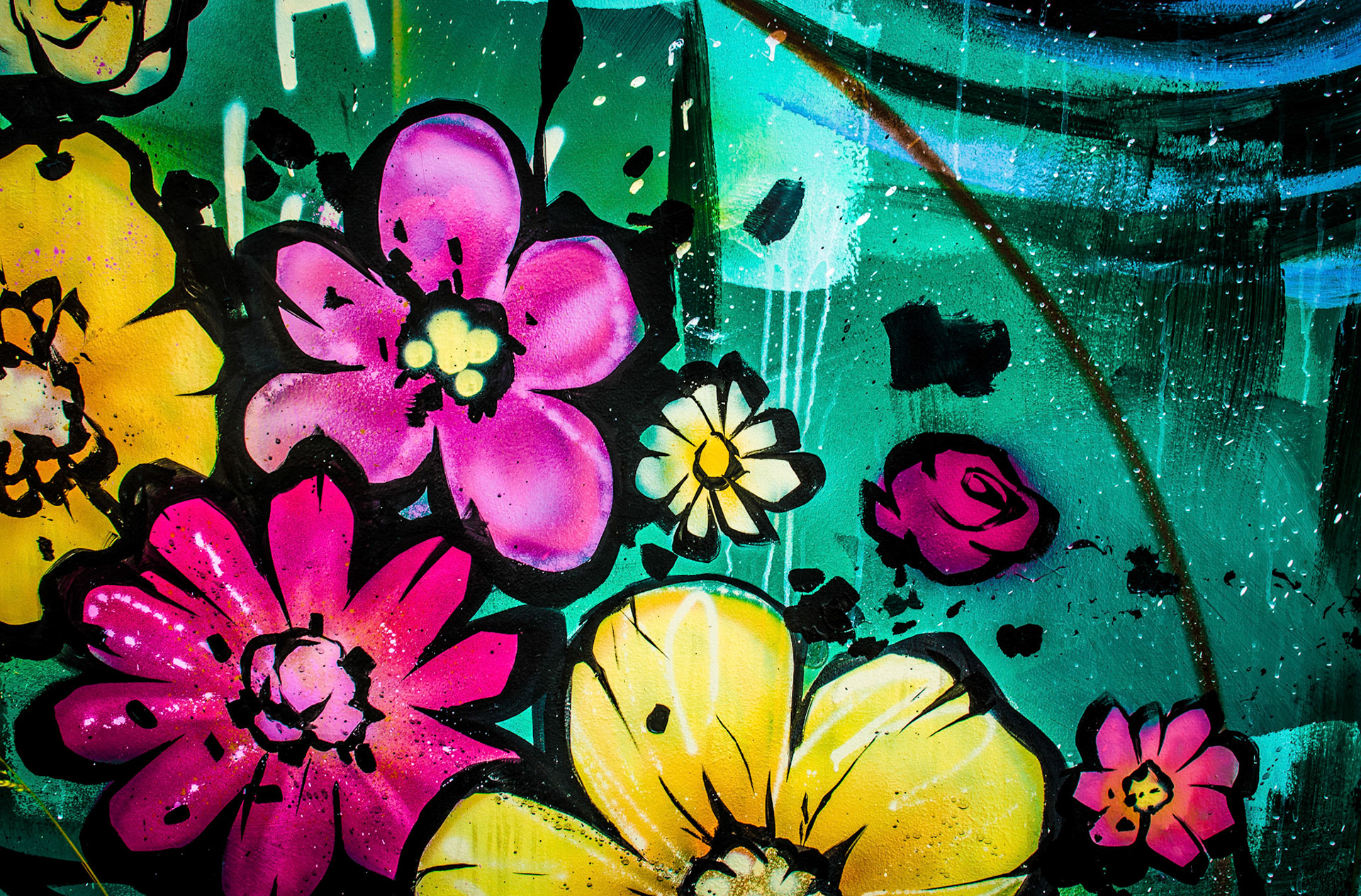Colourful Flowers