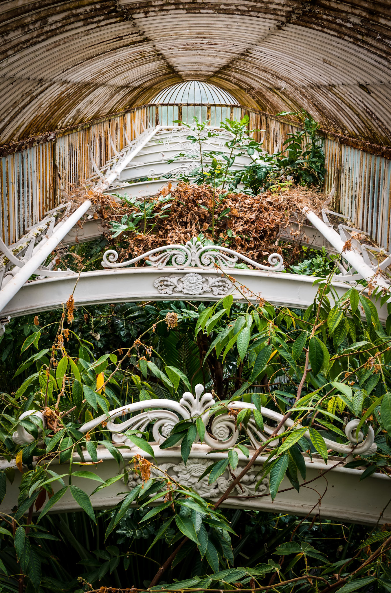 At The Top Of The House