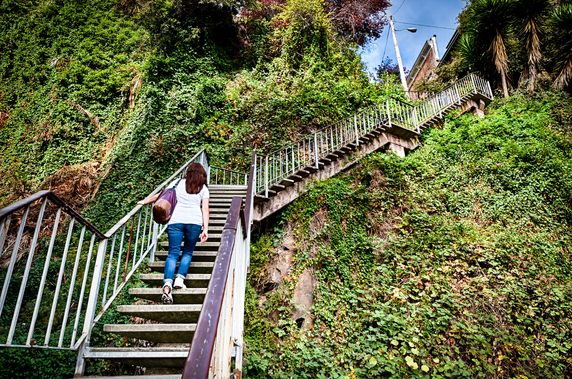 The Steps Of Fillmore