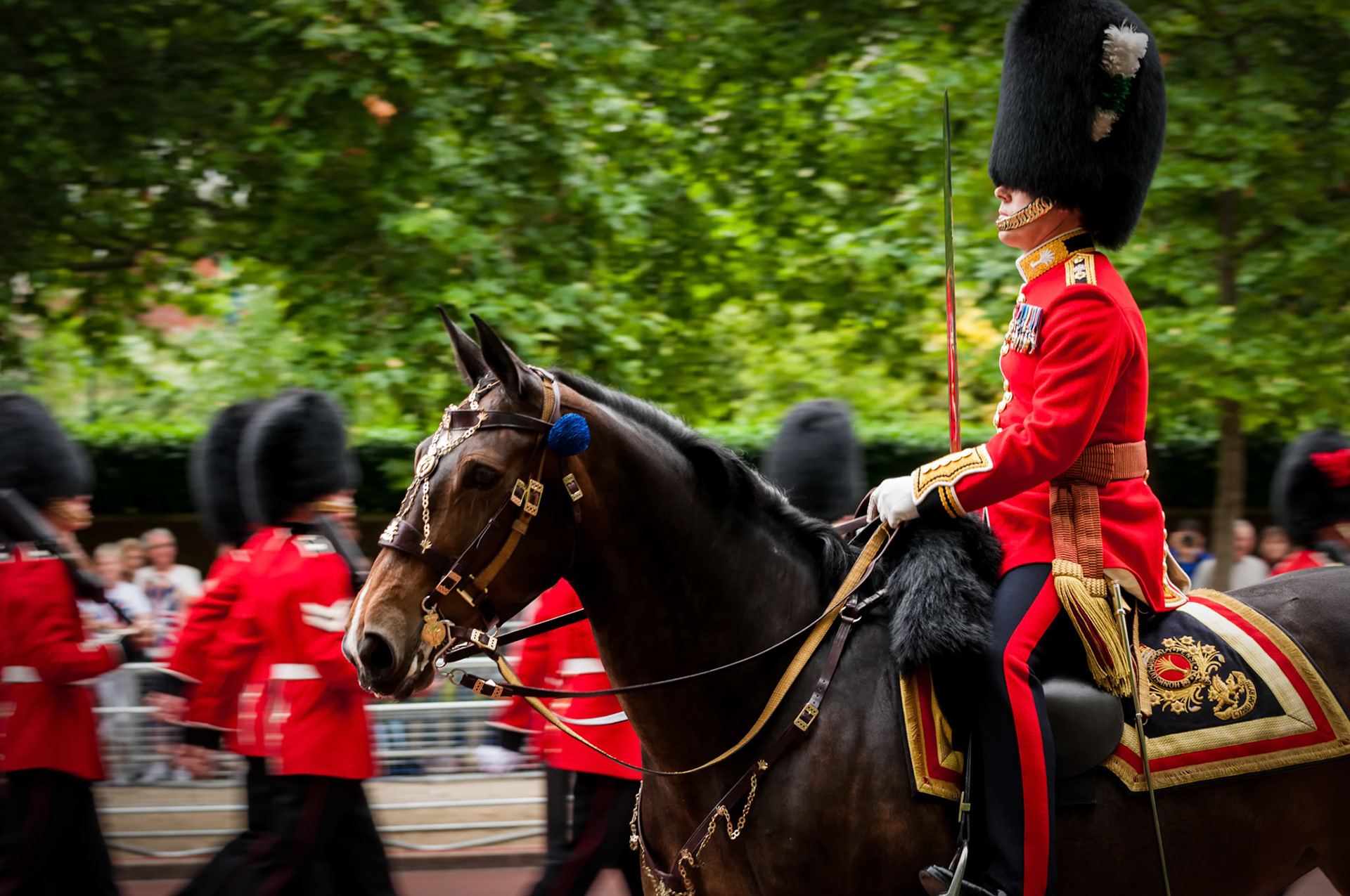 Mounted Guard