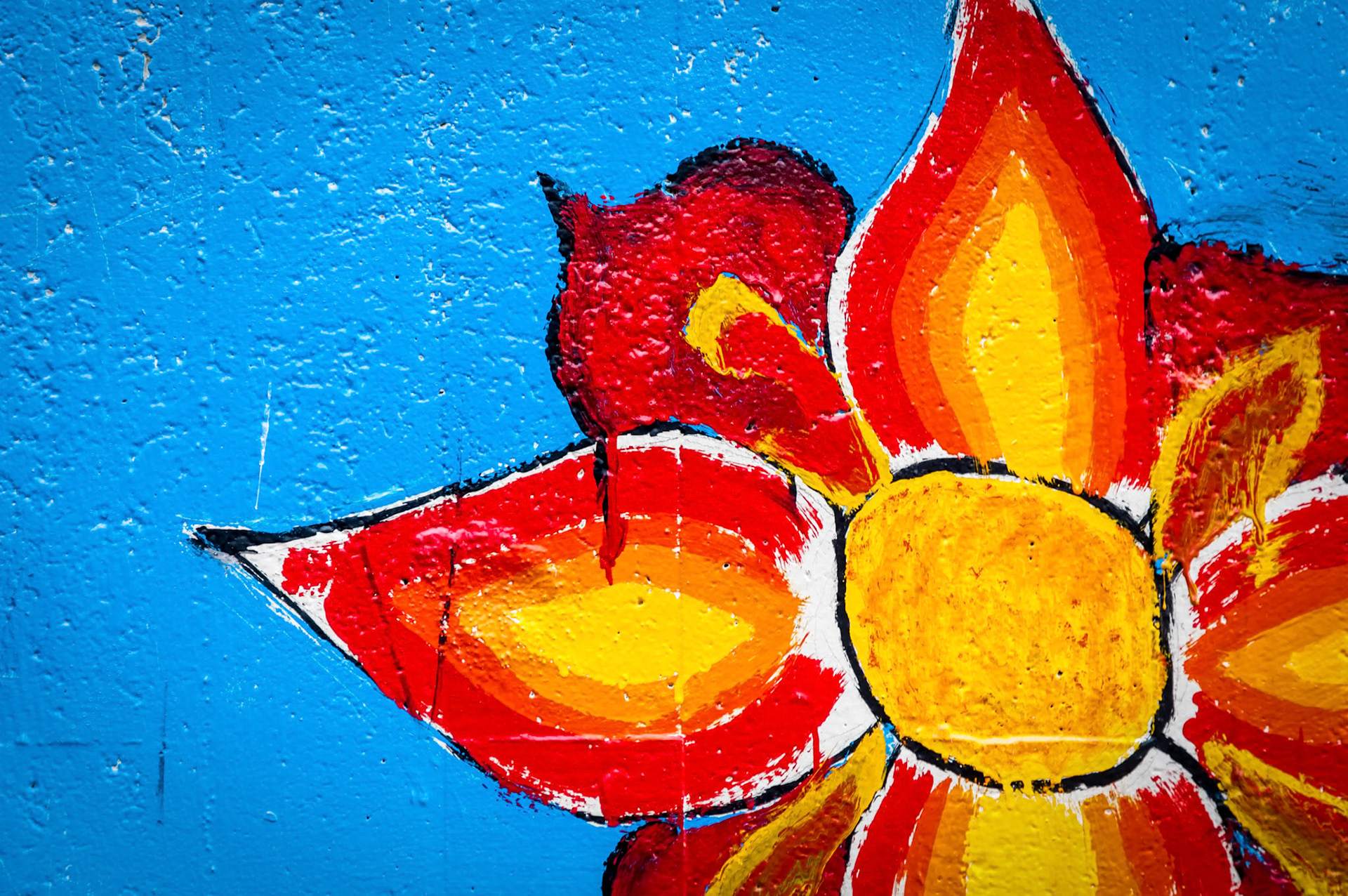 Somebody Ought To Paint This Beautiful Flower