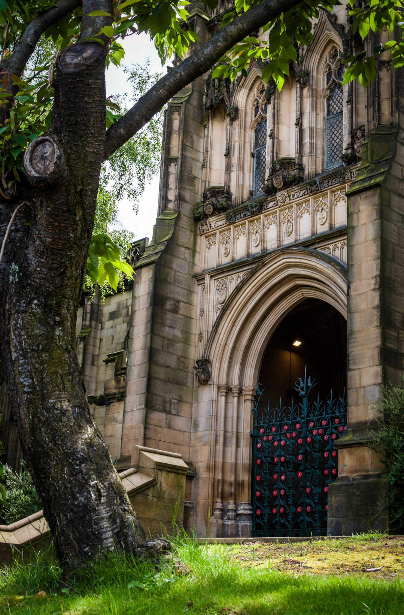 Red Flowers On The Gate