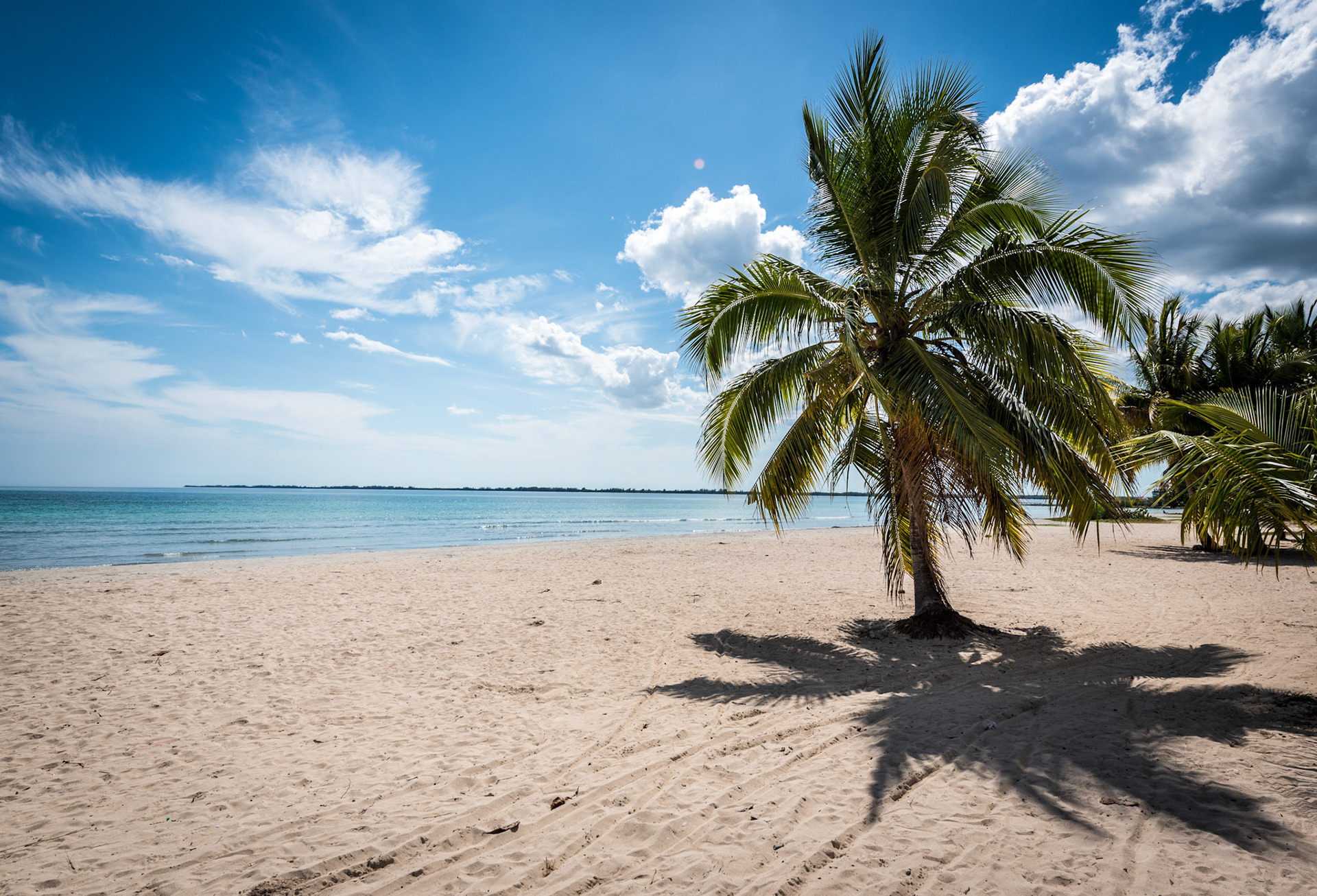 Paradise In The Bay Of Pigs