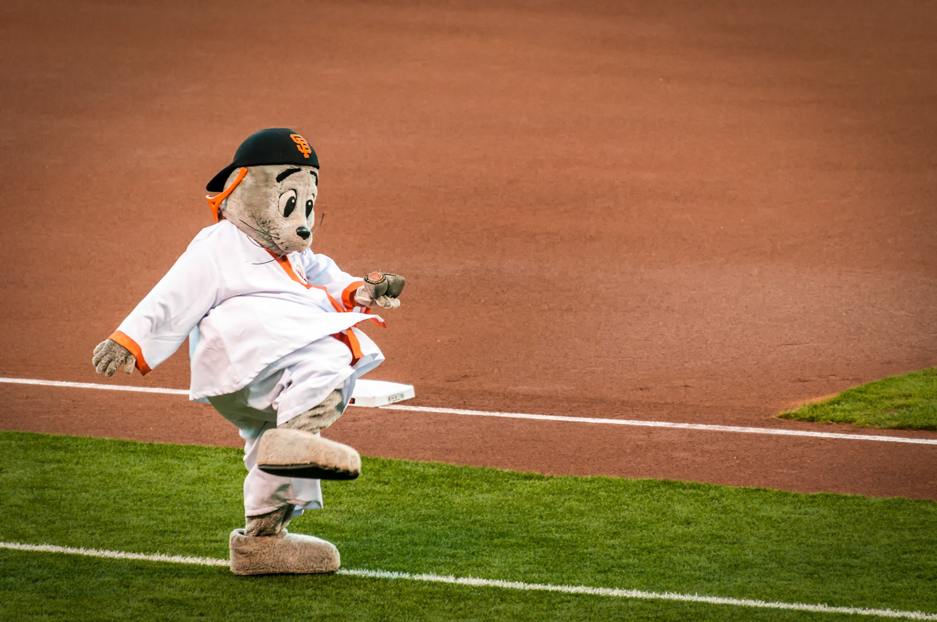 Lou Seal