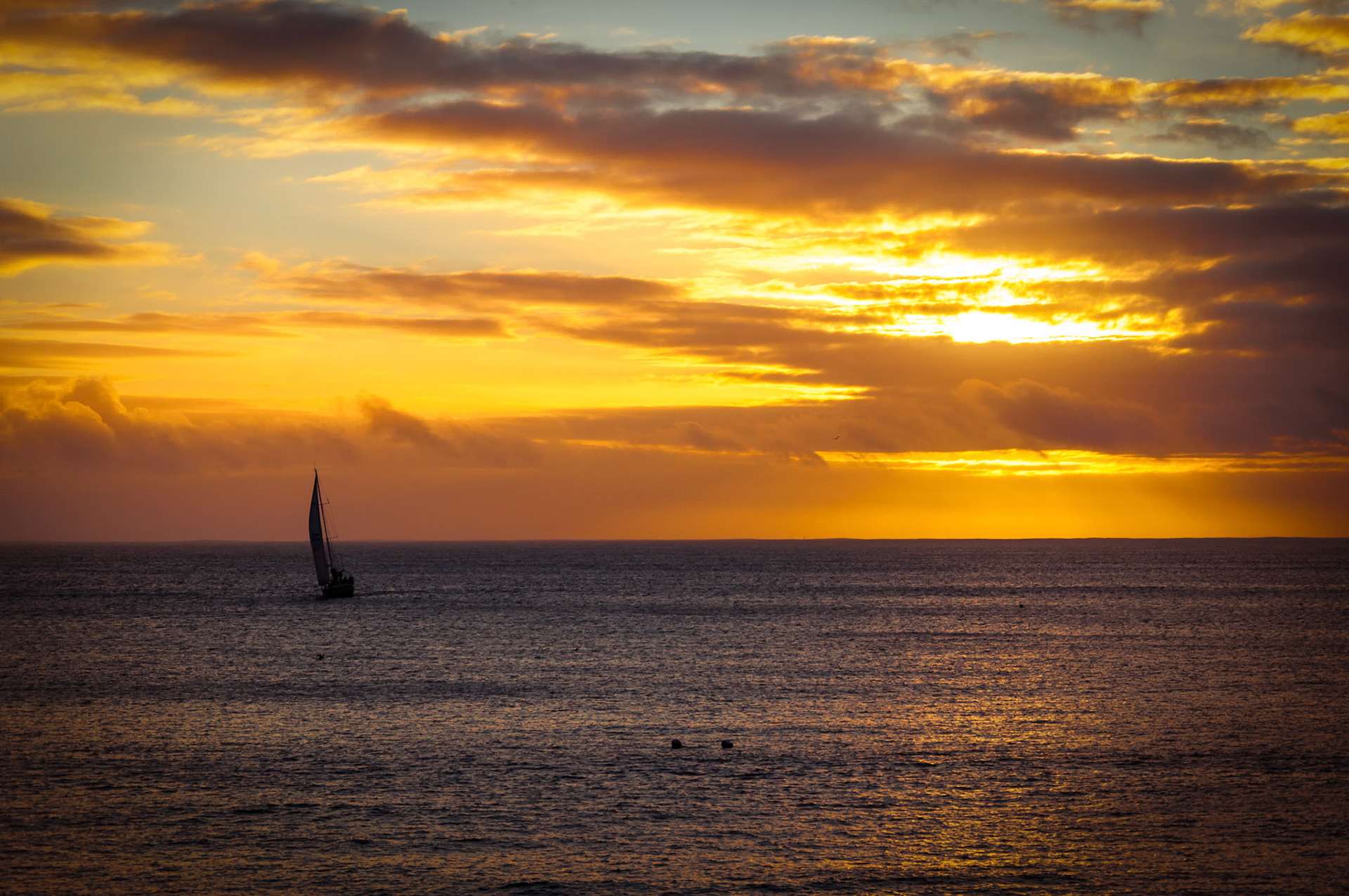 Sailing In The Sunset