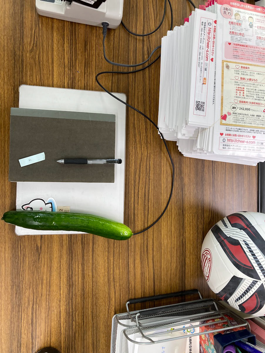 love to find a cucumber gift on my desk!