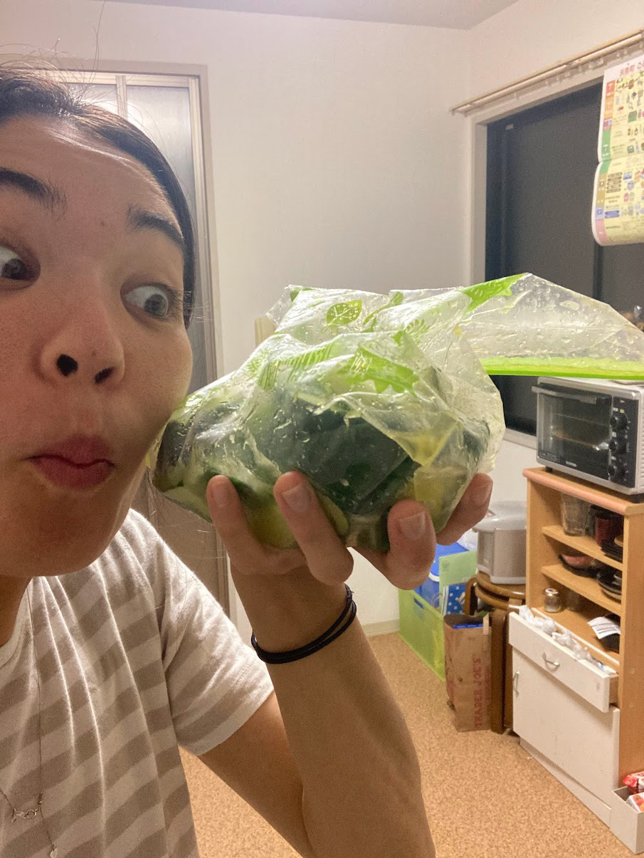 more pickeled cucumbers (this time with Japanese mustard powder)