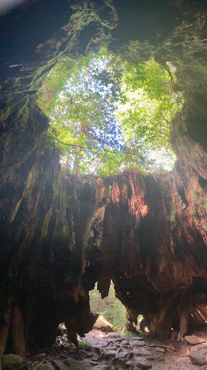 inside this HUGE trunk...it had a whole river and temple inside it!