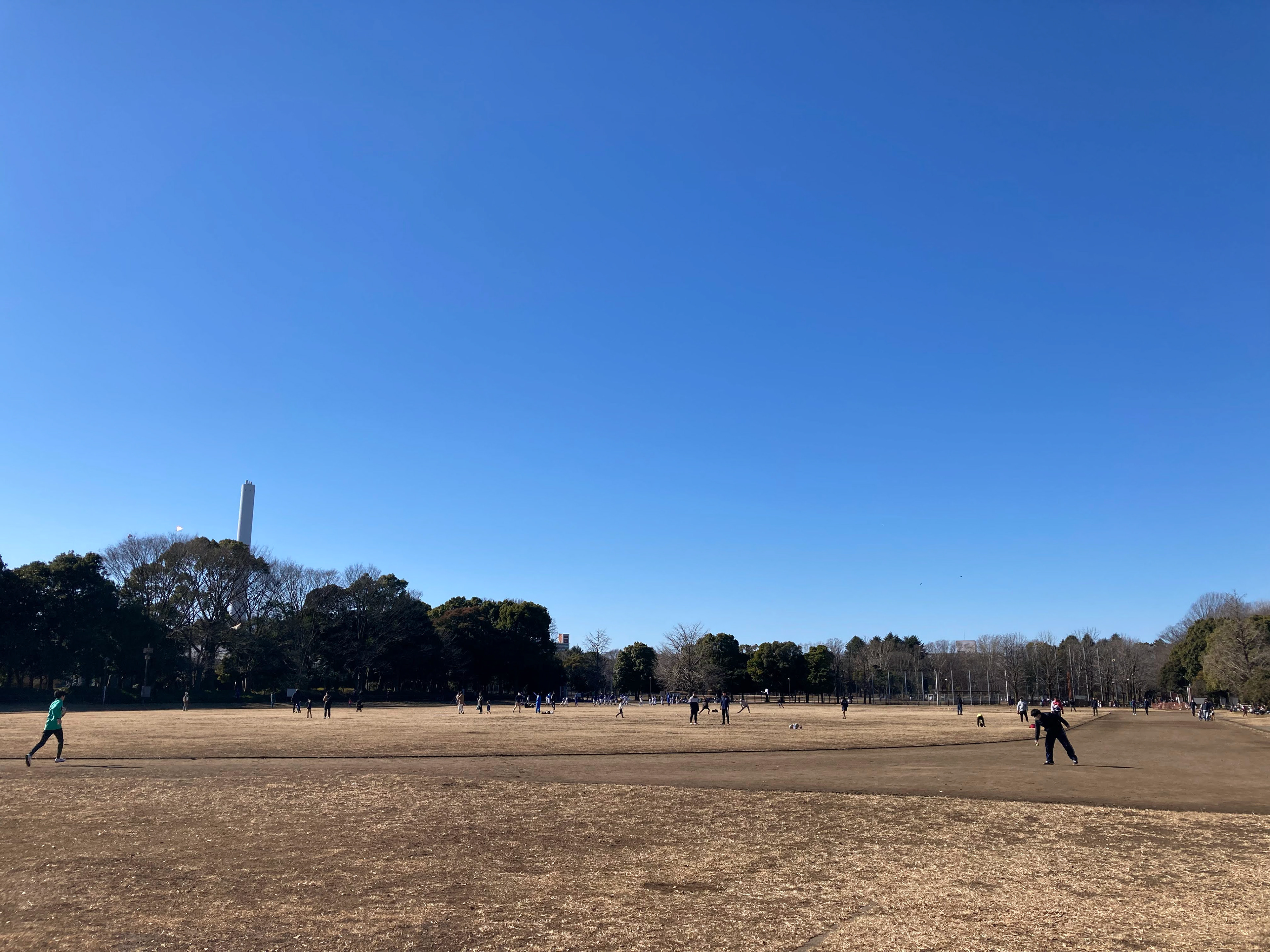 Crisp morning at Hikarigaoka Park