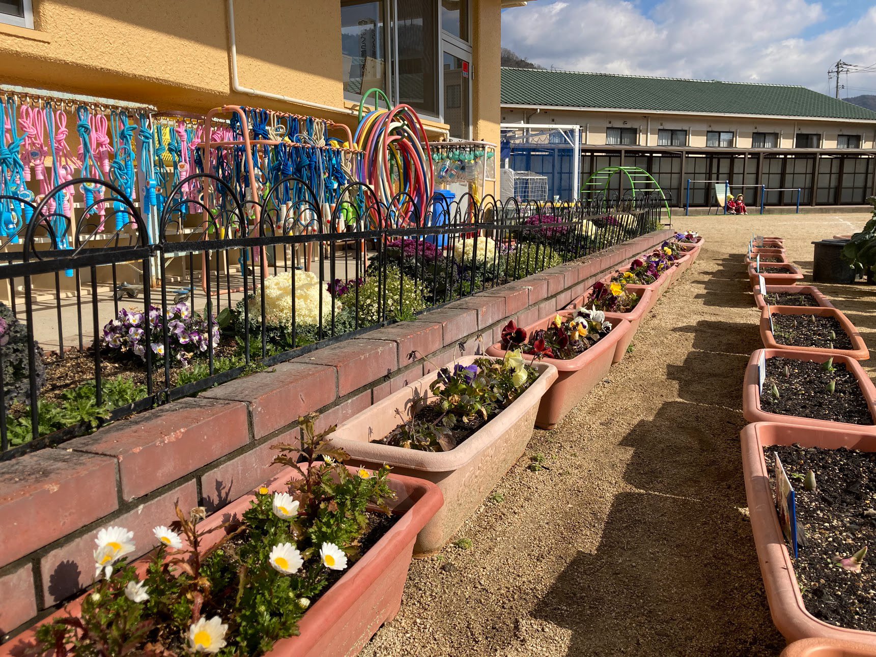 plants the kids take care of every recess