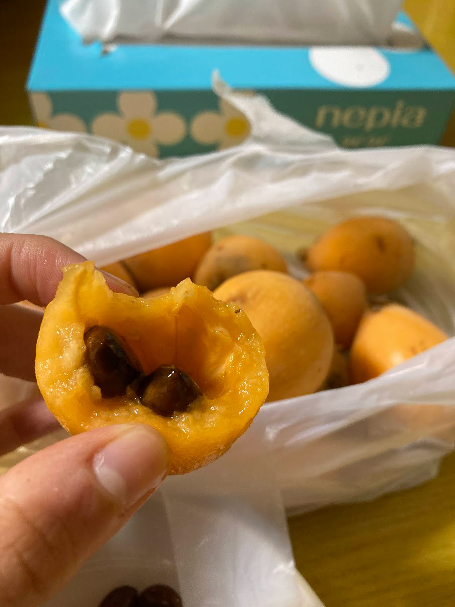 a special mountain fruit that tasted like cantalope but looks like apricots.