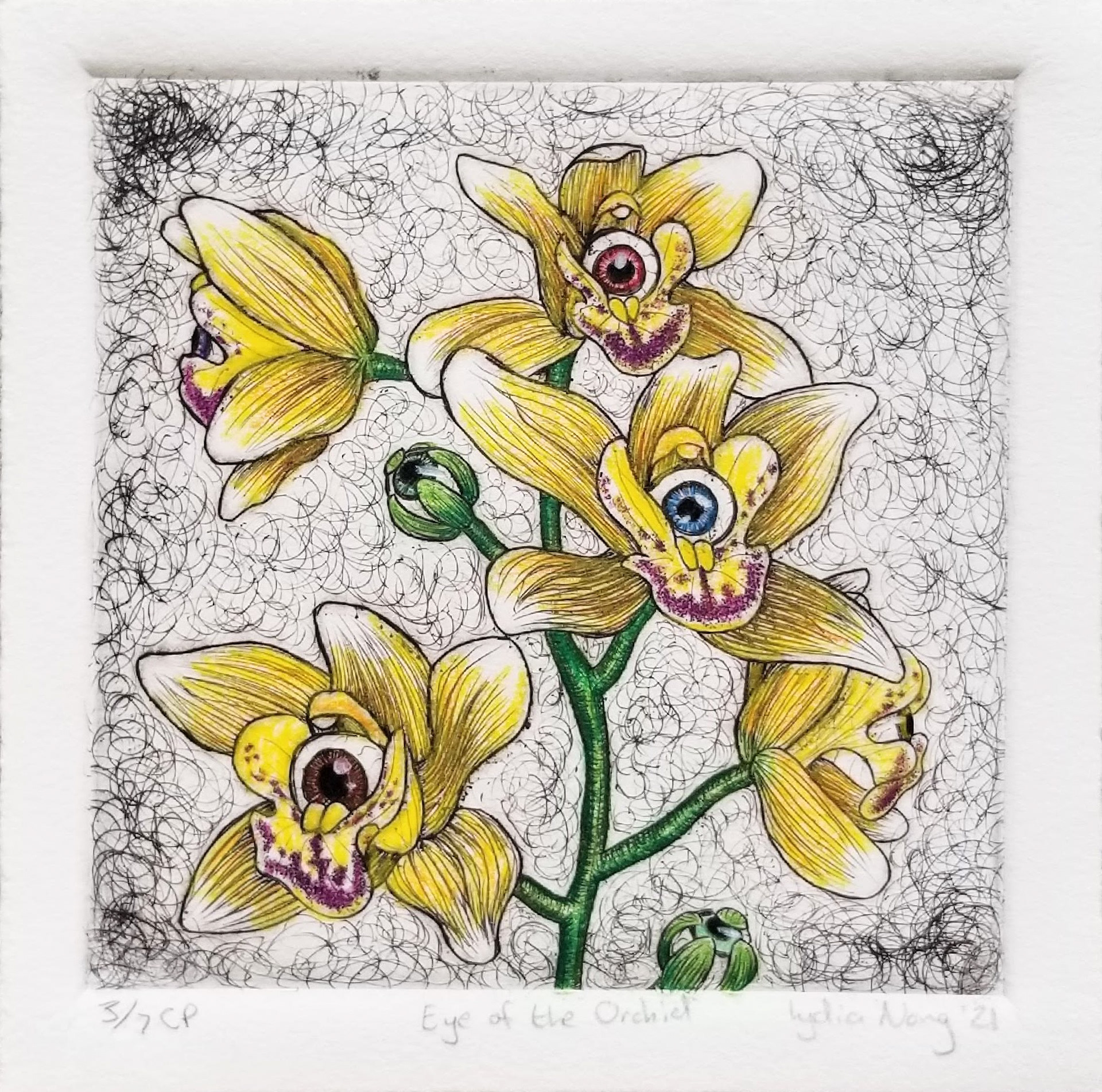 "Eye of the Orchid" Colored - Intaglio and Colored Pencil 