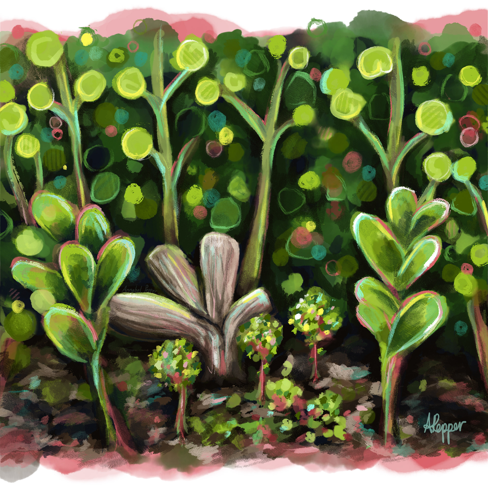 Environment Development