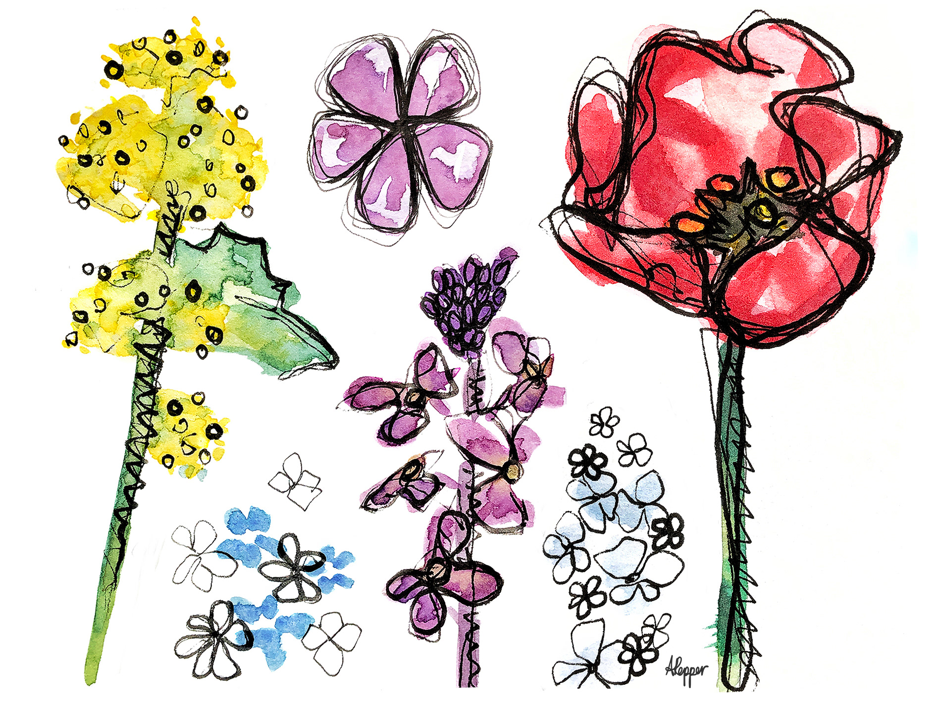 Flower Studies
