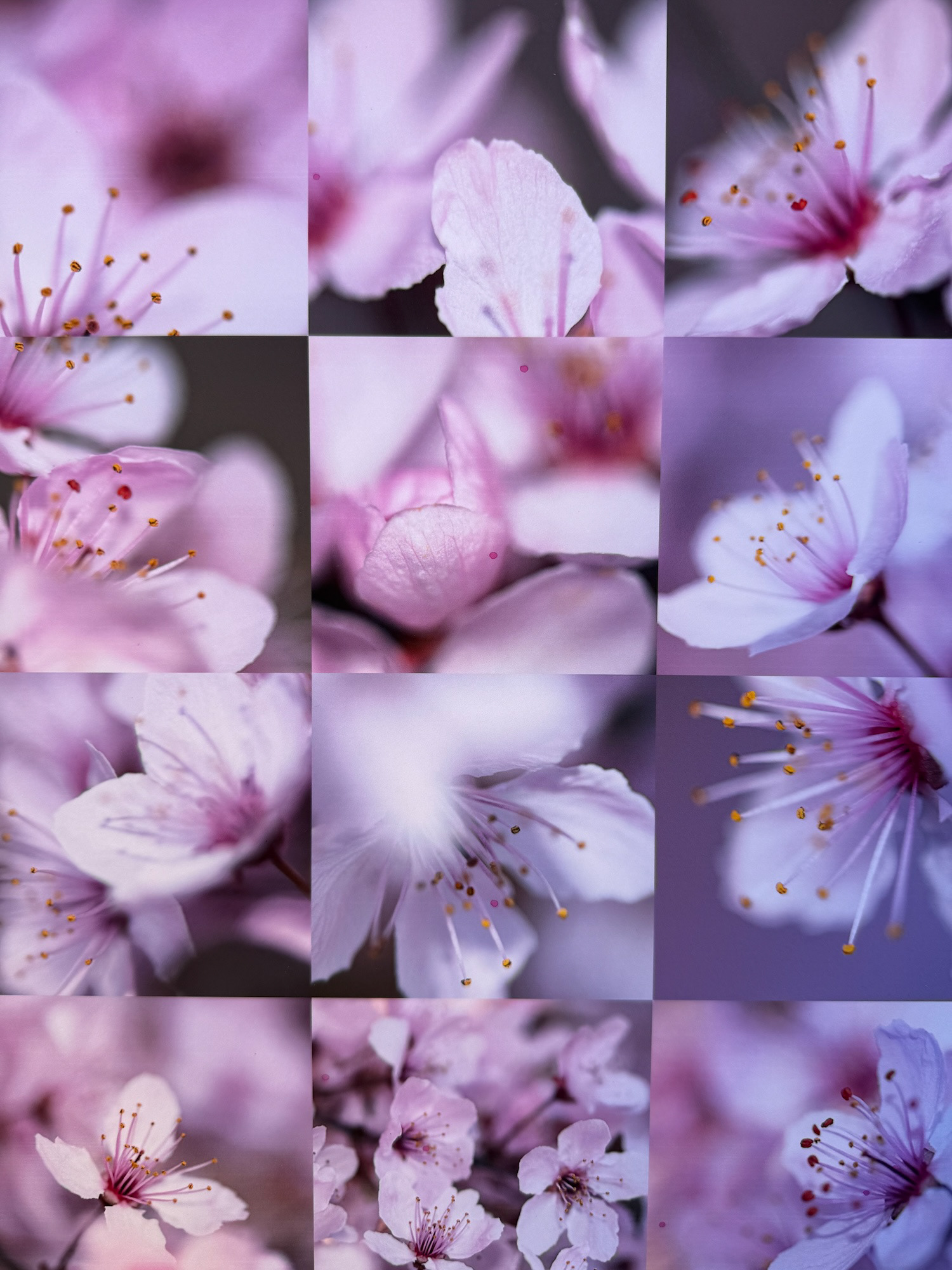 ©2026 Mahala Mazerov. All Rights Reserved
