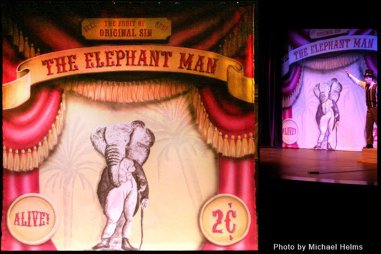 "Elephant Man" Drop 15' X 16'